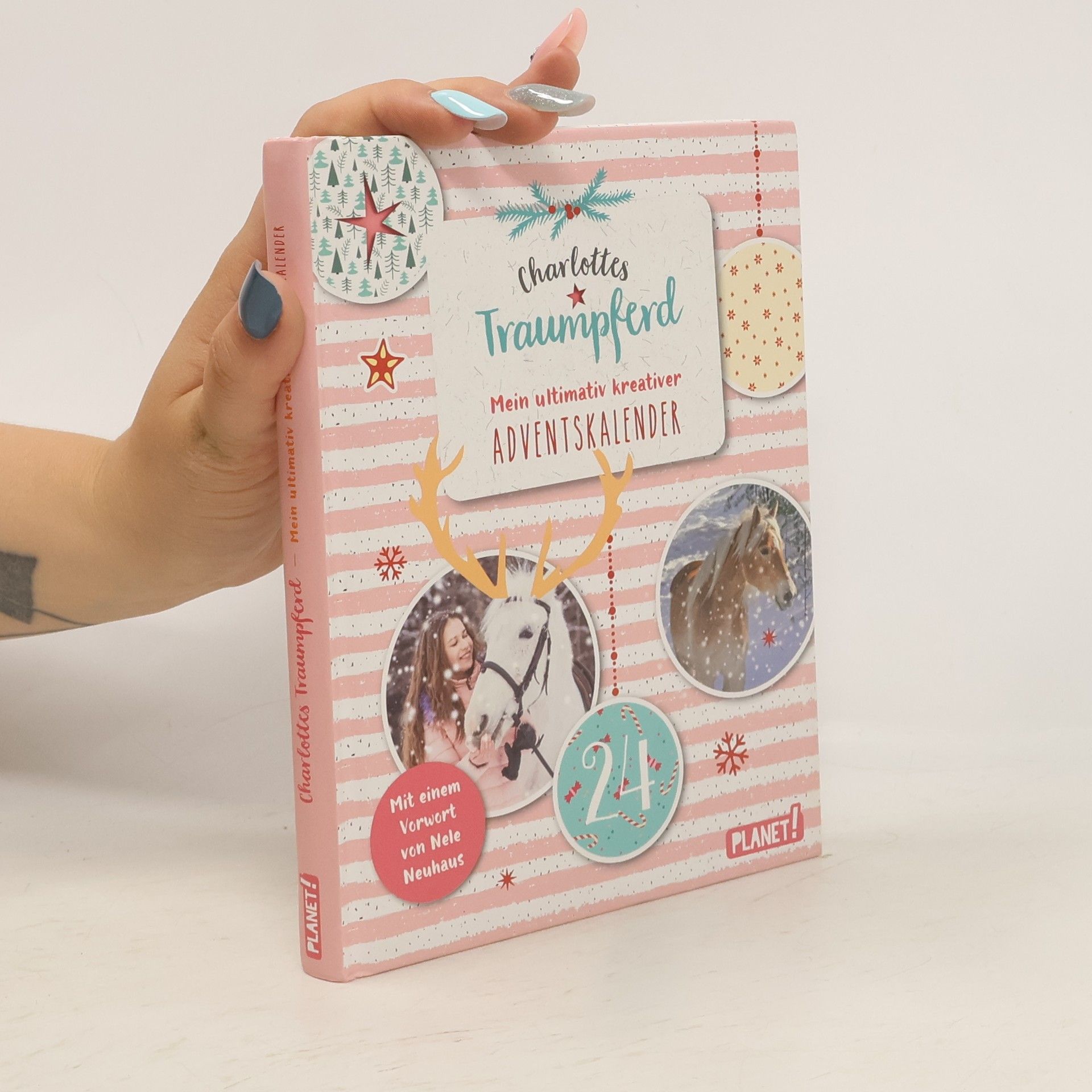 Birgit Herrmann Charlottes Traumpferd - mein ultimativ kreativer Adventskalender