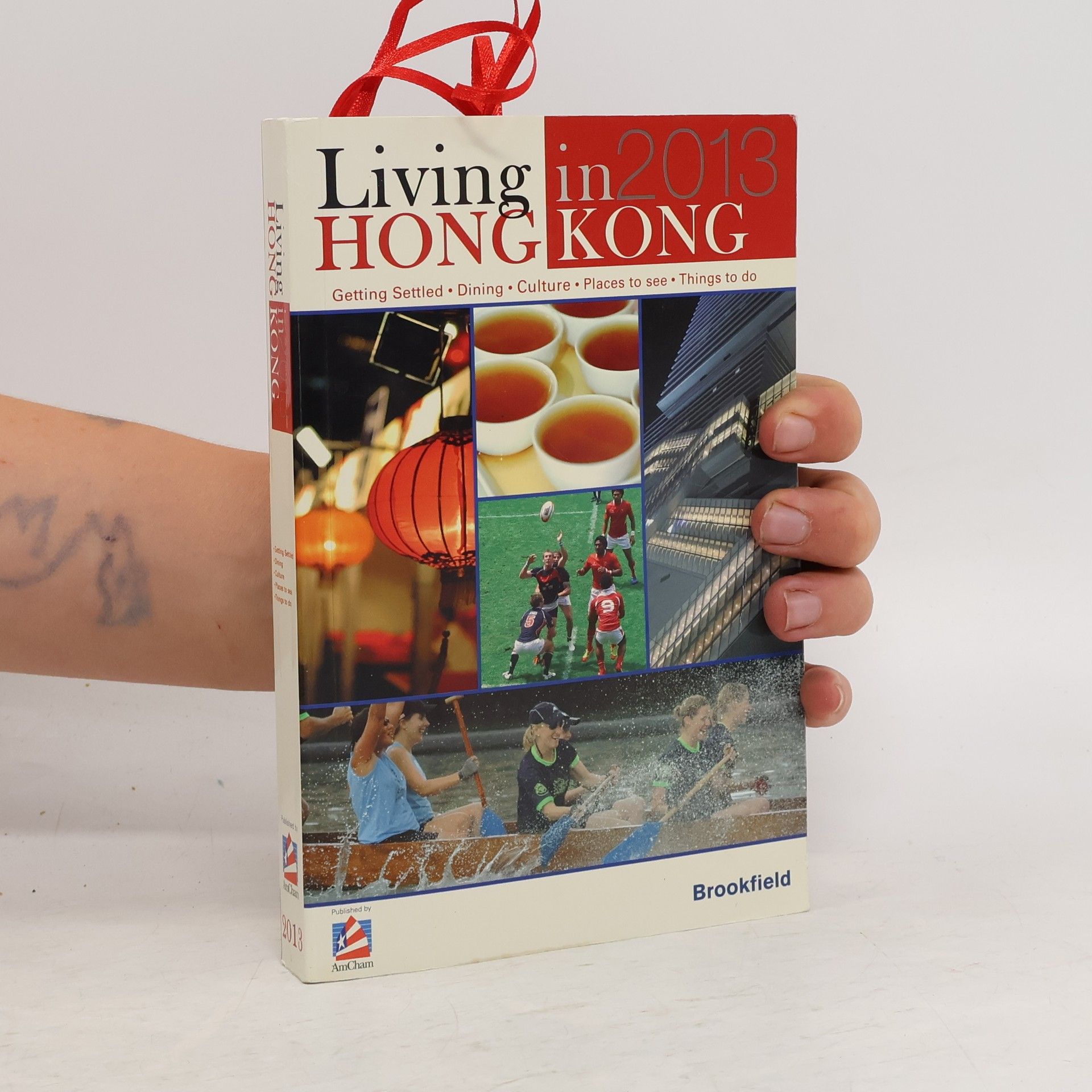 Collectif d'auteurs Living in Hongkong 2013