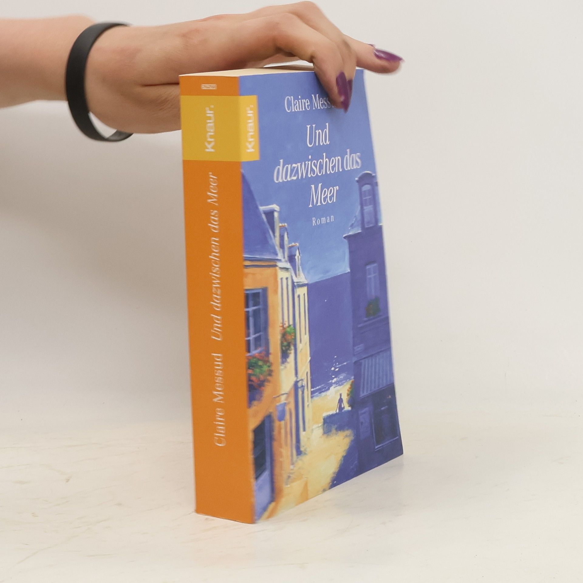 Claire Messud Und dazwischen das Meer