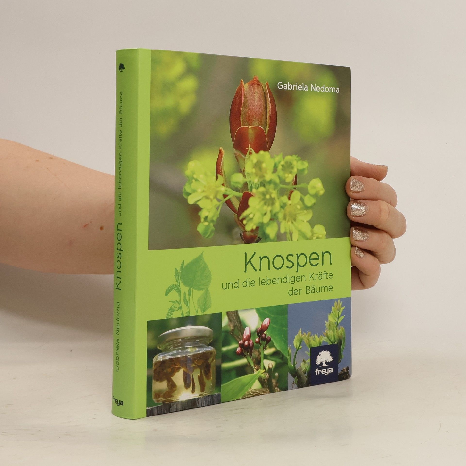 Gabriela Nedoma Knospen und die lebendigen Kräfte der Bäume