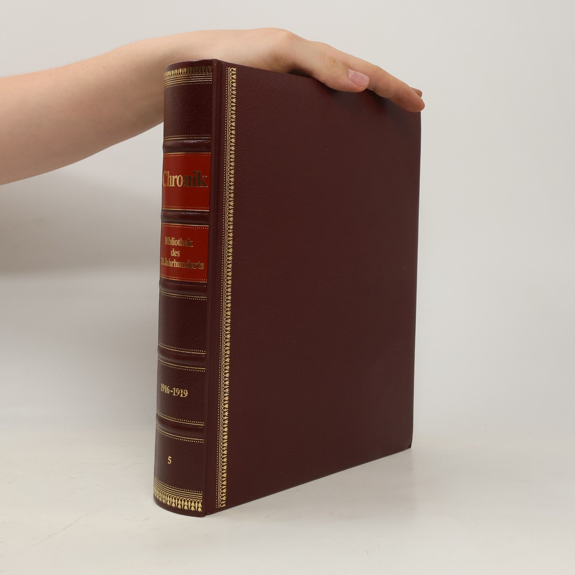Autorenkollektiv Chronik. Bibliothek des 20. Jahrhunderts 5. 1916 - 1919
