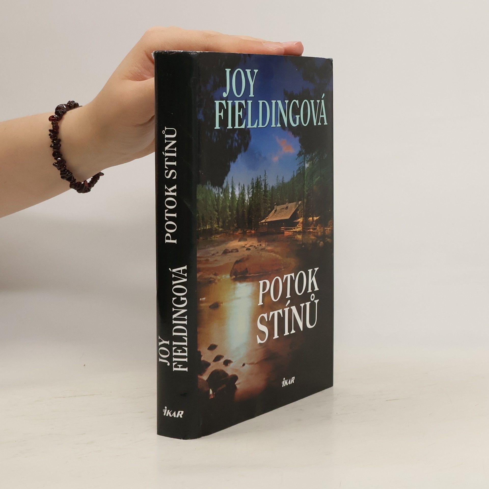 Joy Fielding Potok stínů