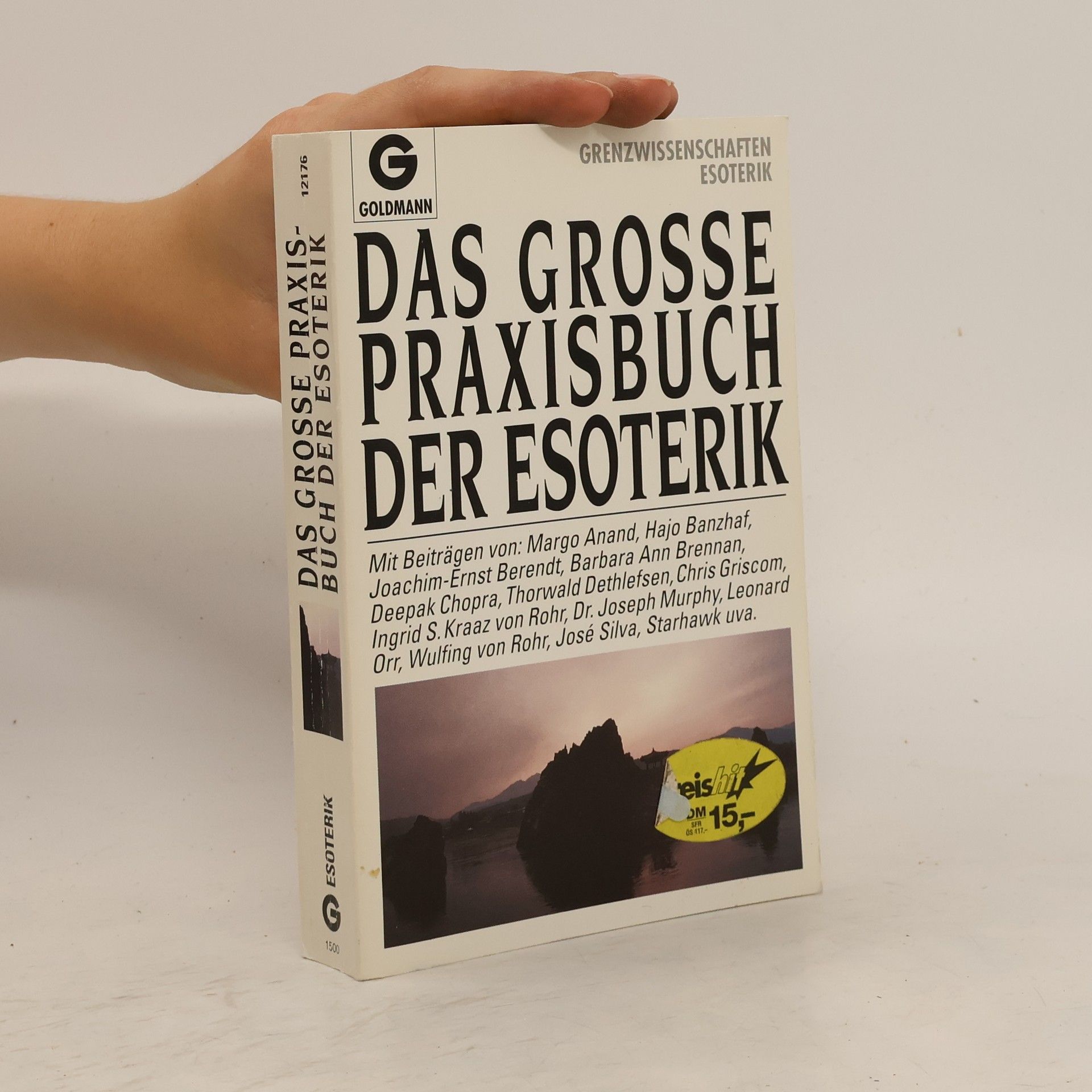 Diane von Weltzien Das grosse Praxisbuch der Esoterik