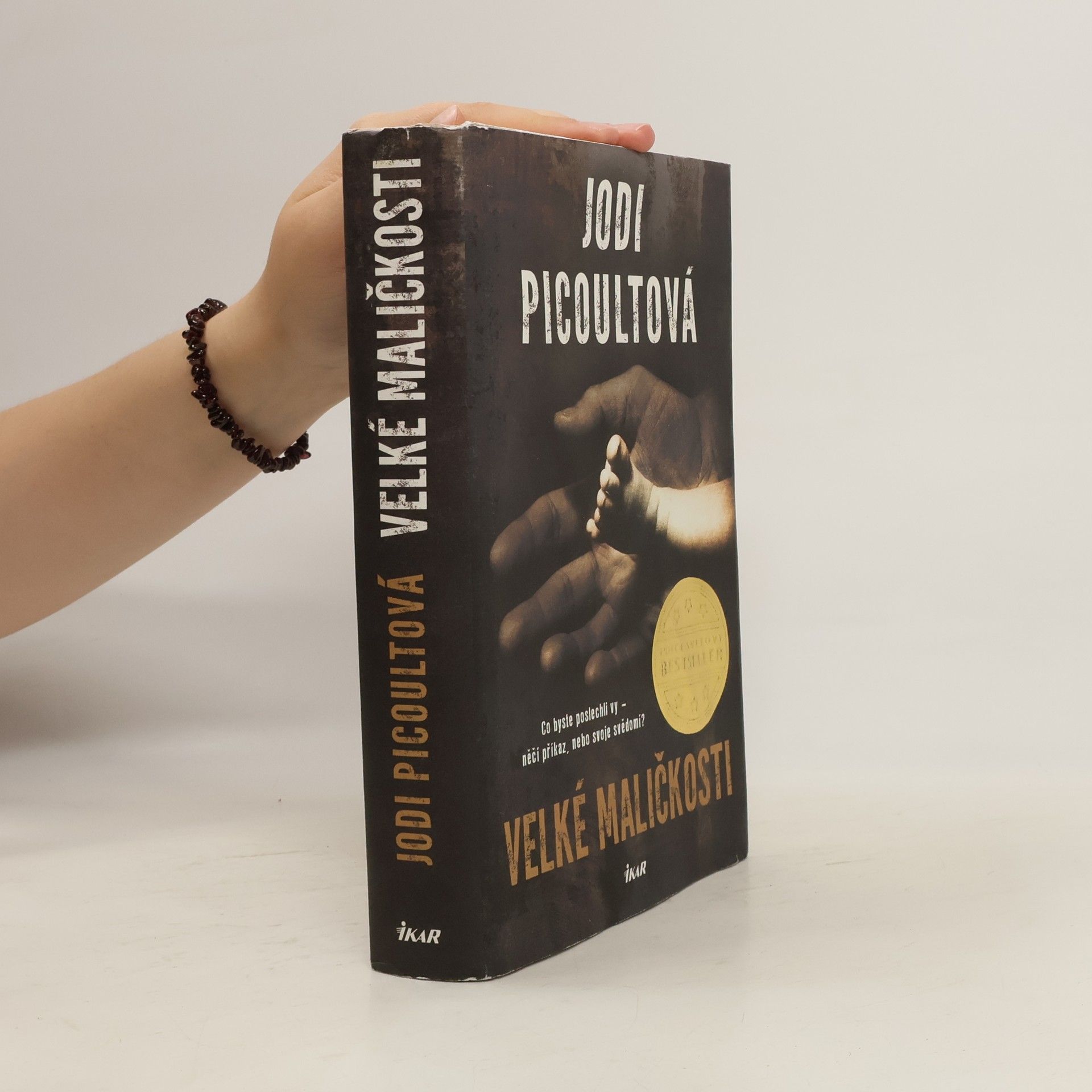 Jodi Picoult Velké maličkosti