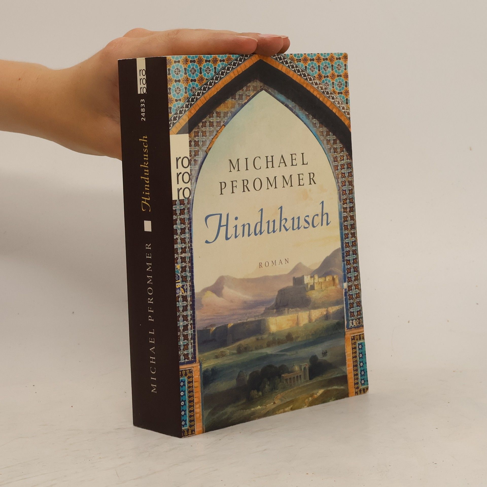 Michael Pfrommer Hindukusch