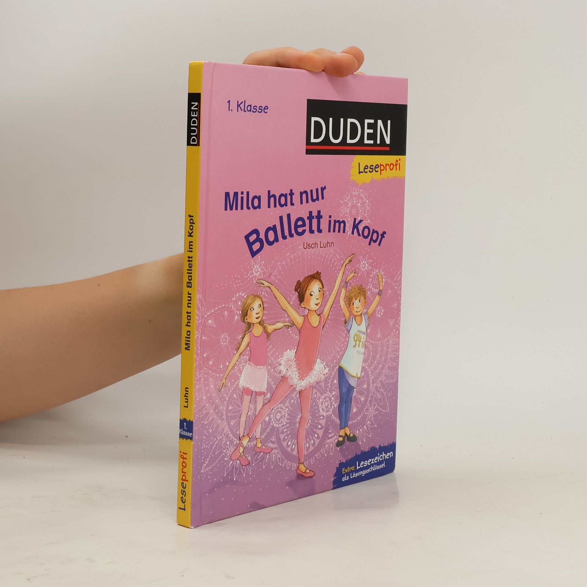 Anne Wolff Die Schule der kleinen Ponys - Wen hat hier der Hafer gestochen?