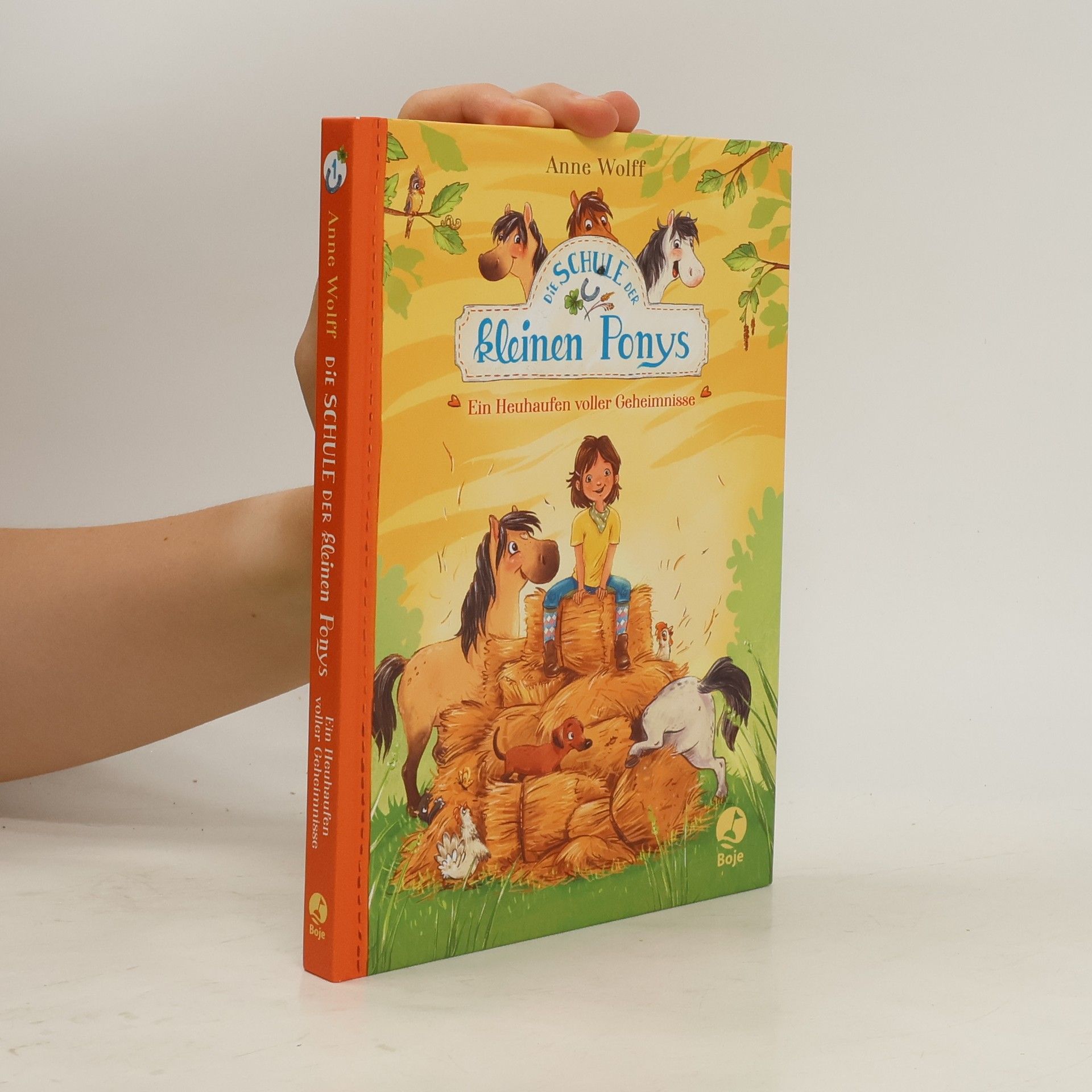 Anne Wolff Die Schule der kleinen Ponys