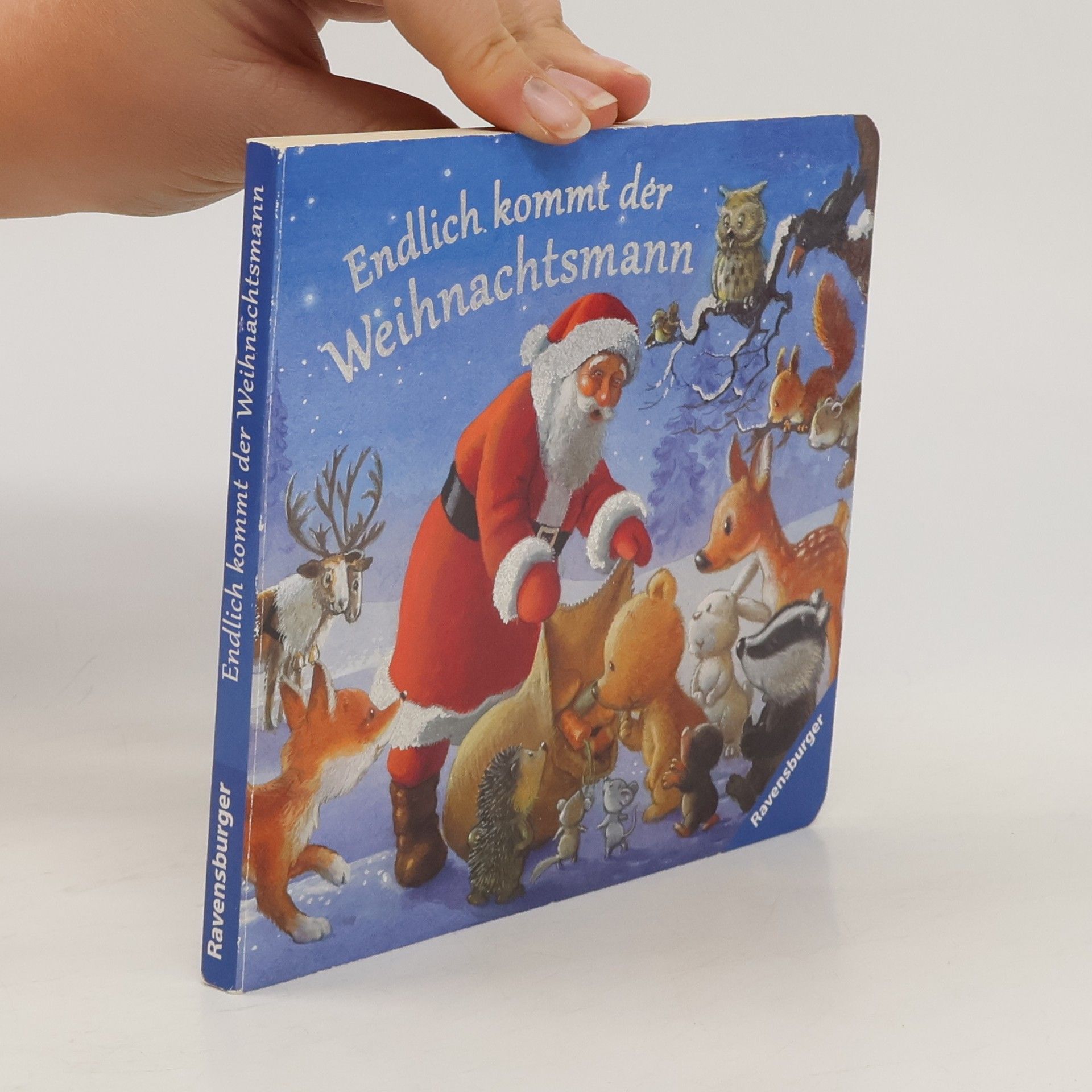 Susanne Mais Endlich kommt der Weihnachtsmann
