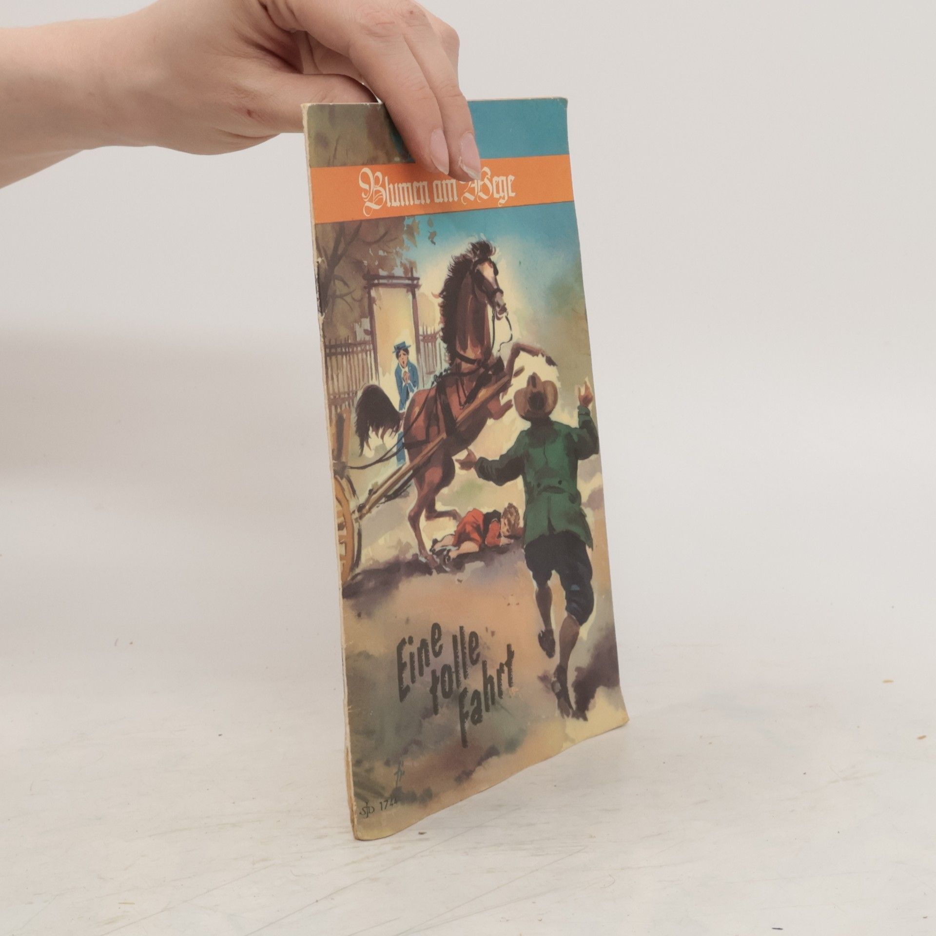 Collectif d'auteurs Blumen am Wege. Eine tolle Fahrt