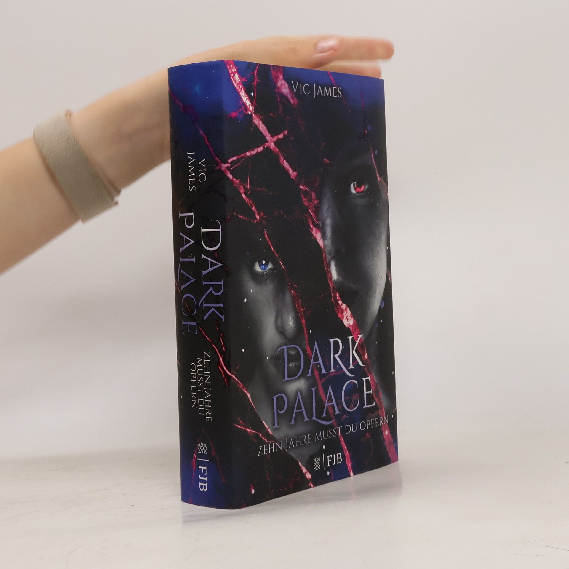 Vic James Dark palace - zehn Jahre musst du opfern