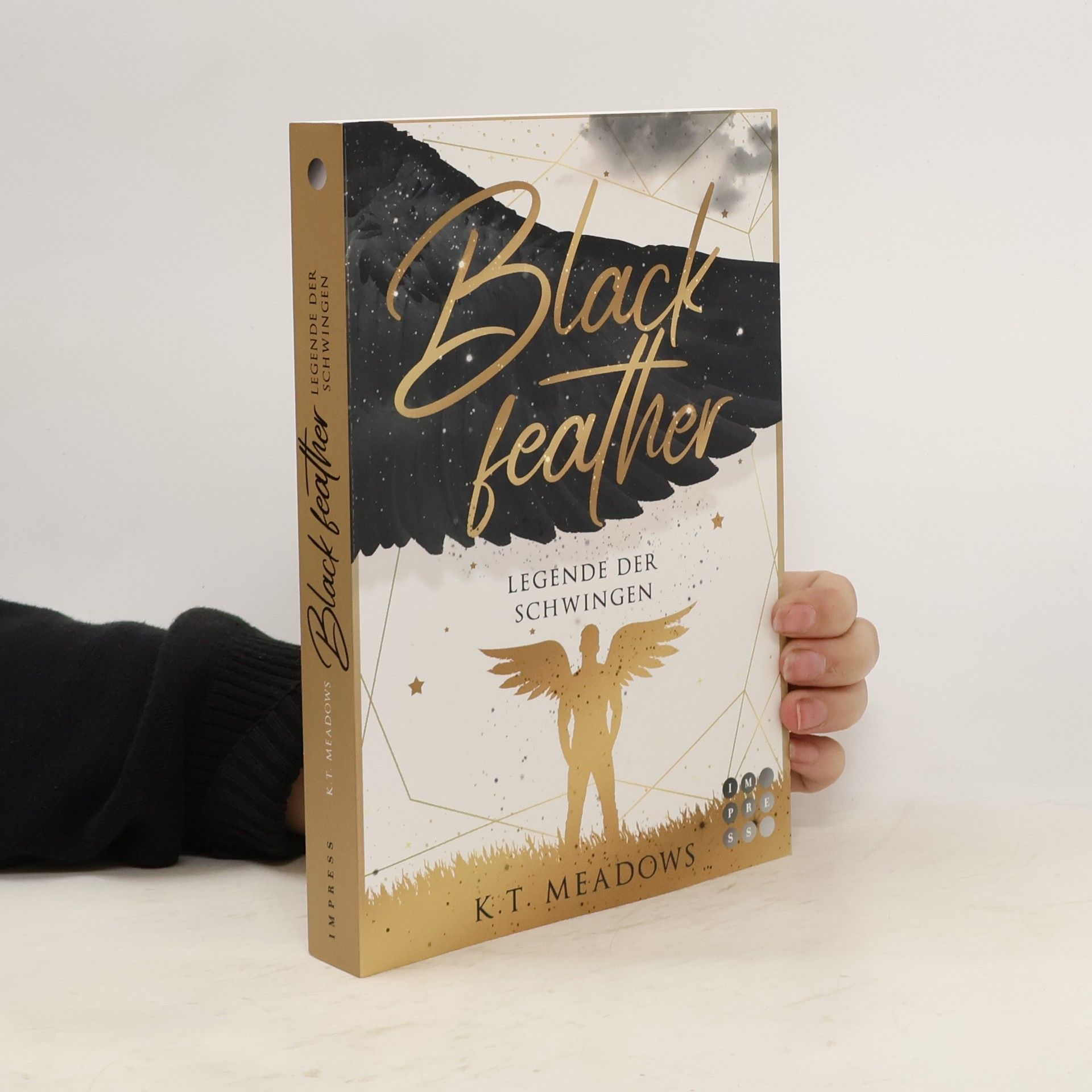 Guy Meadows Blackfeather (Legende der Schwingen 2)
