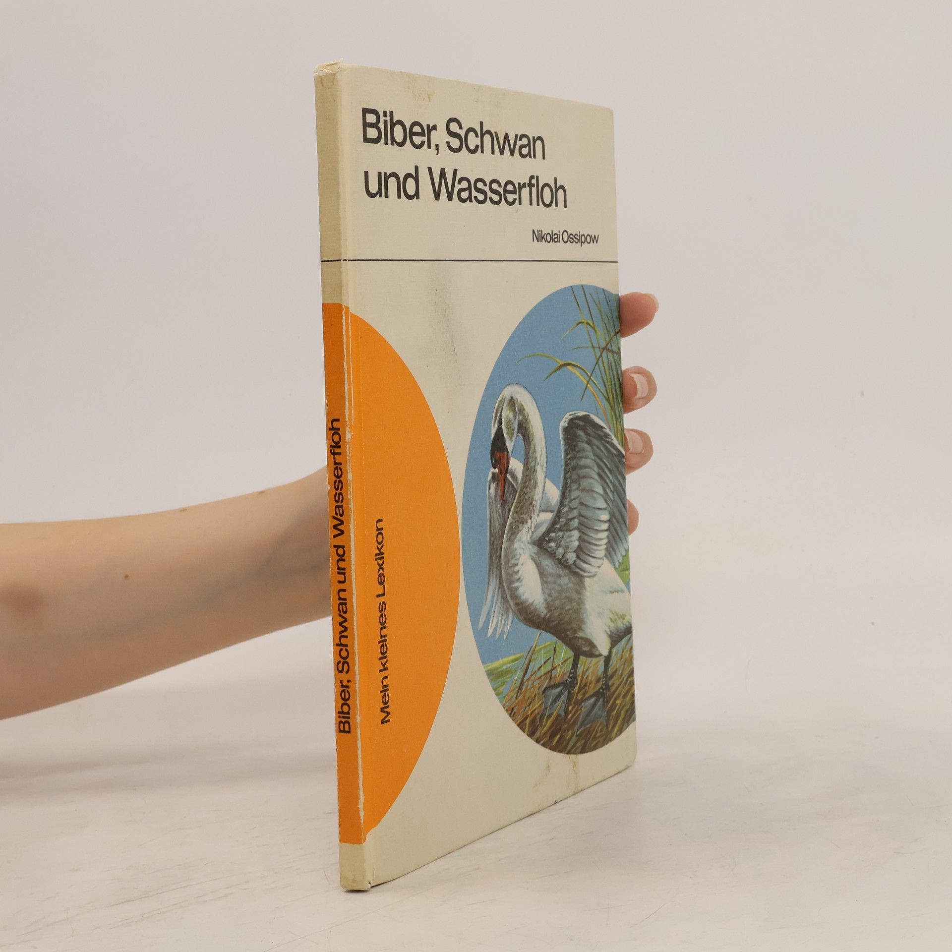 Nikolaj Jefgrafovič Osipov Biber, Schwan und Wasserfloh