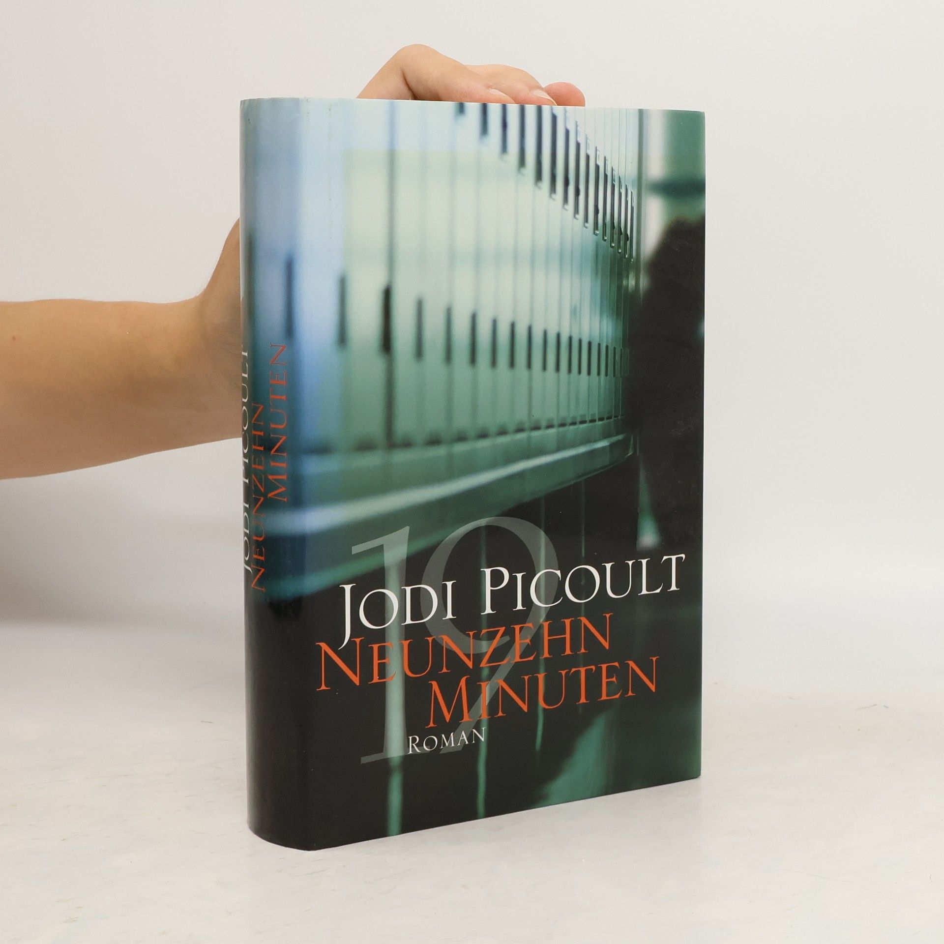 Jodi Picoult Neunzeh minuten