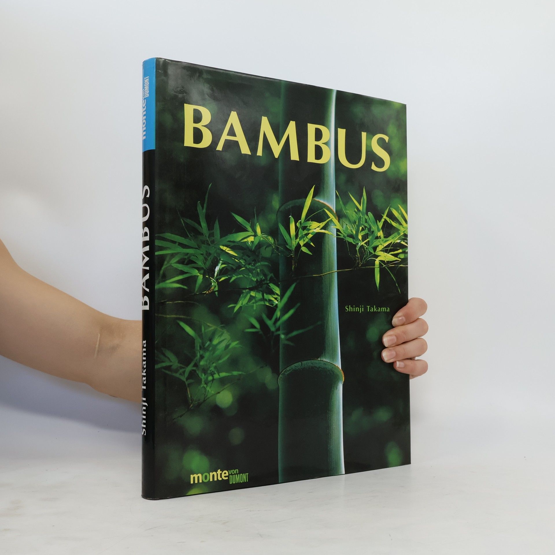 Shinji Takama Bambus