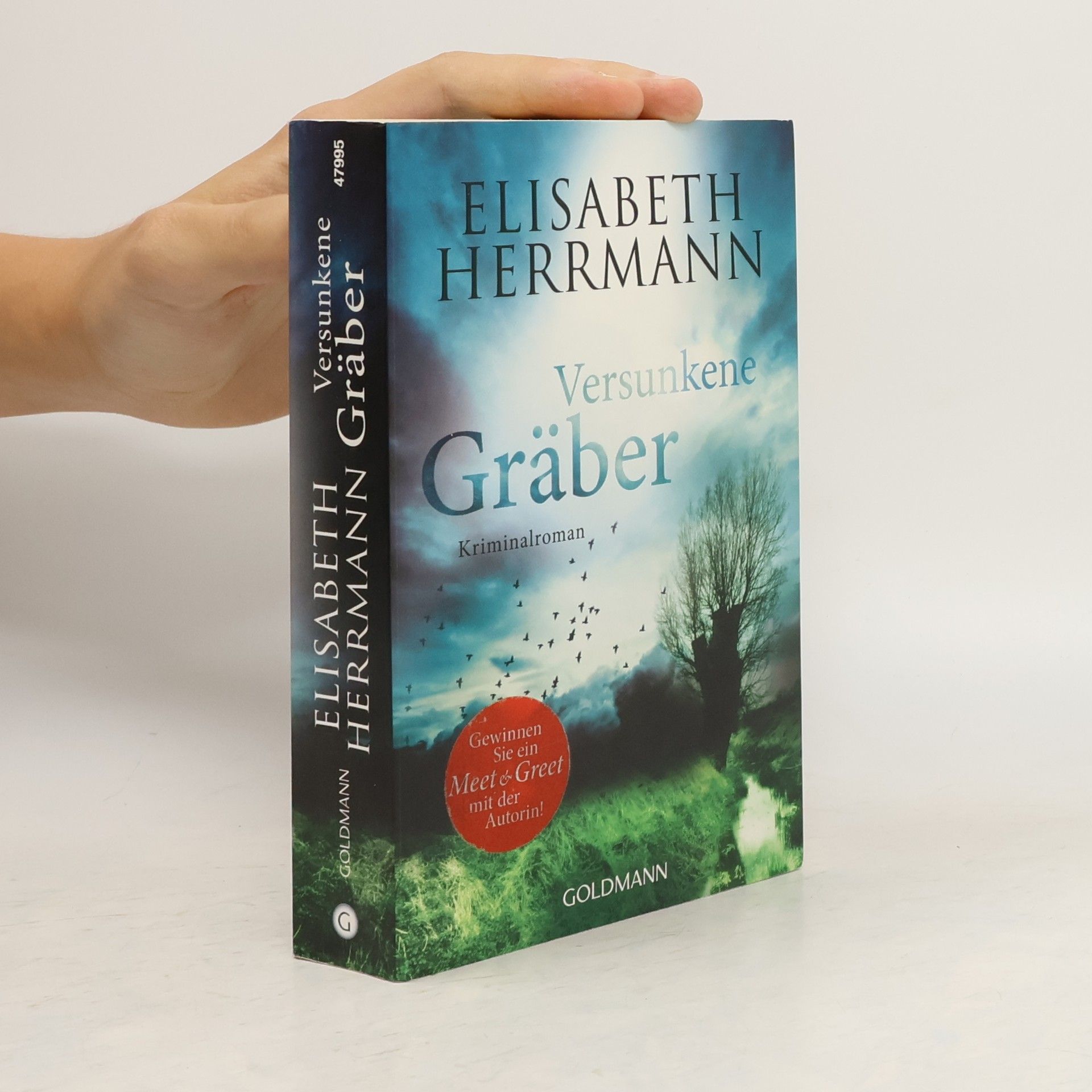 Elisabeth Hermann Versunkene Gräber