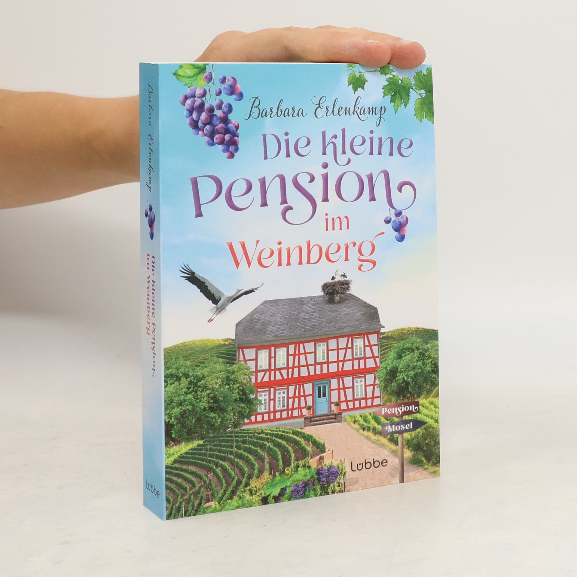 Barbara Erlenkamp Die kleine Pension im Weinberg