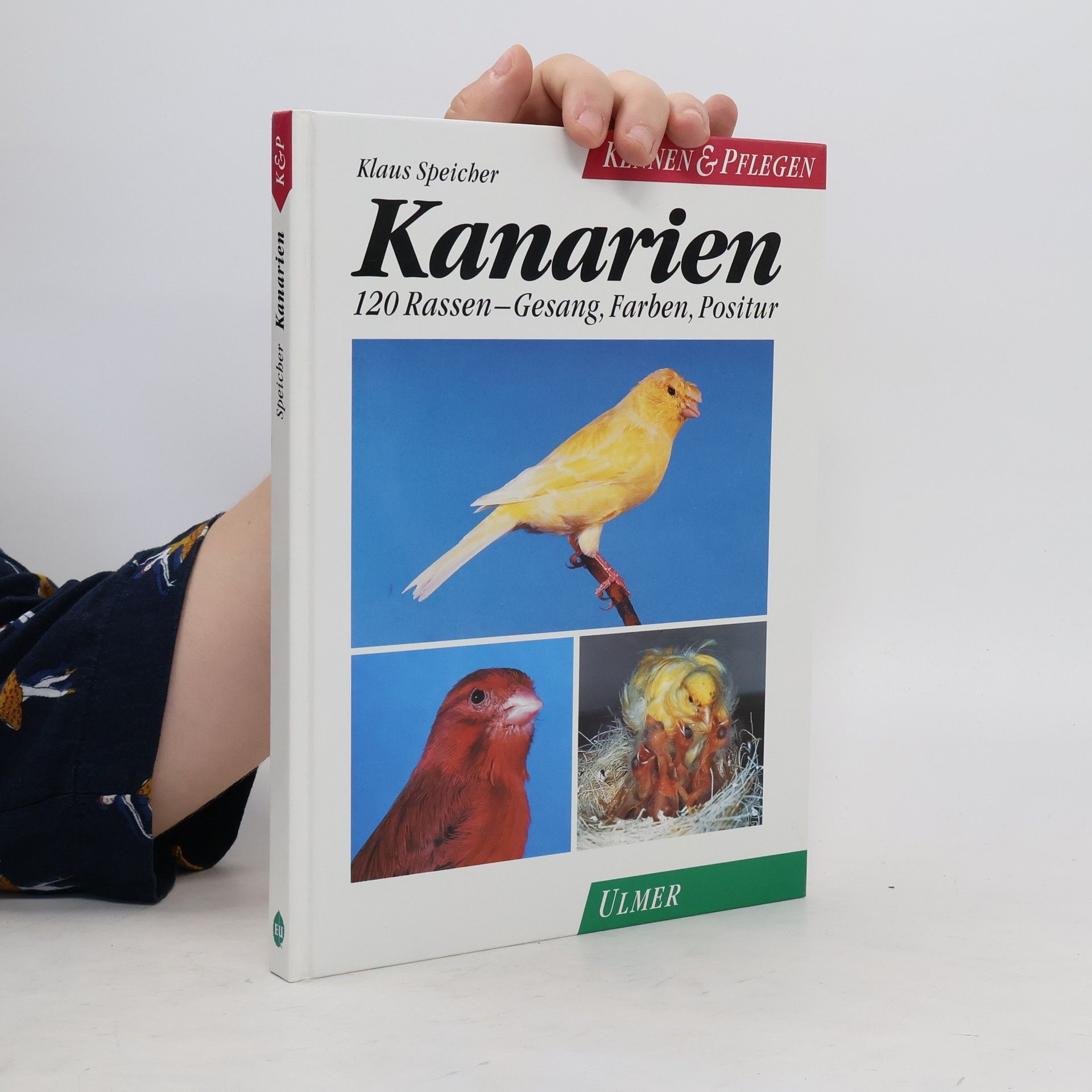 Klaus Speicher Kanarien