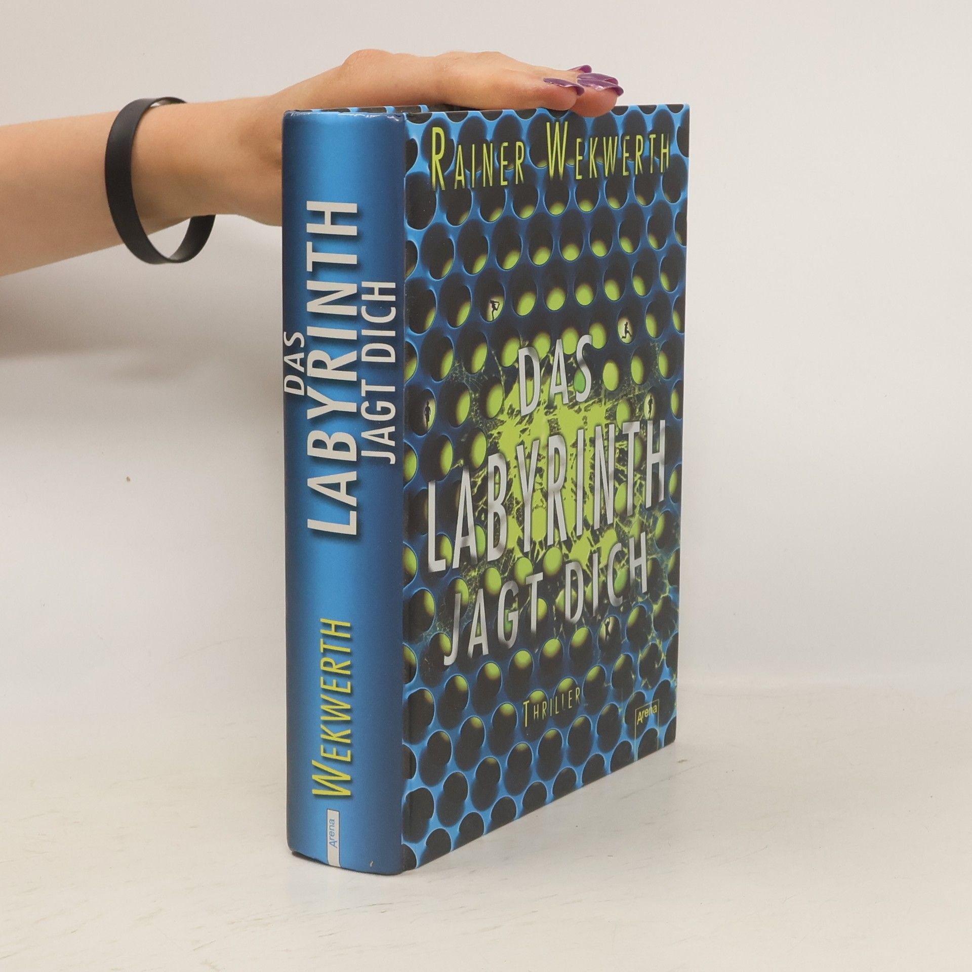 Rainer Wekwerth Das Labyrinth jagt dich