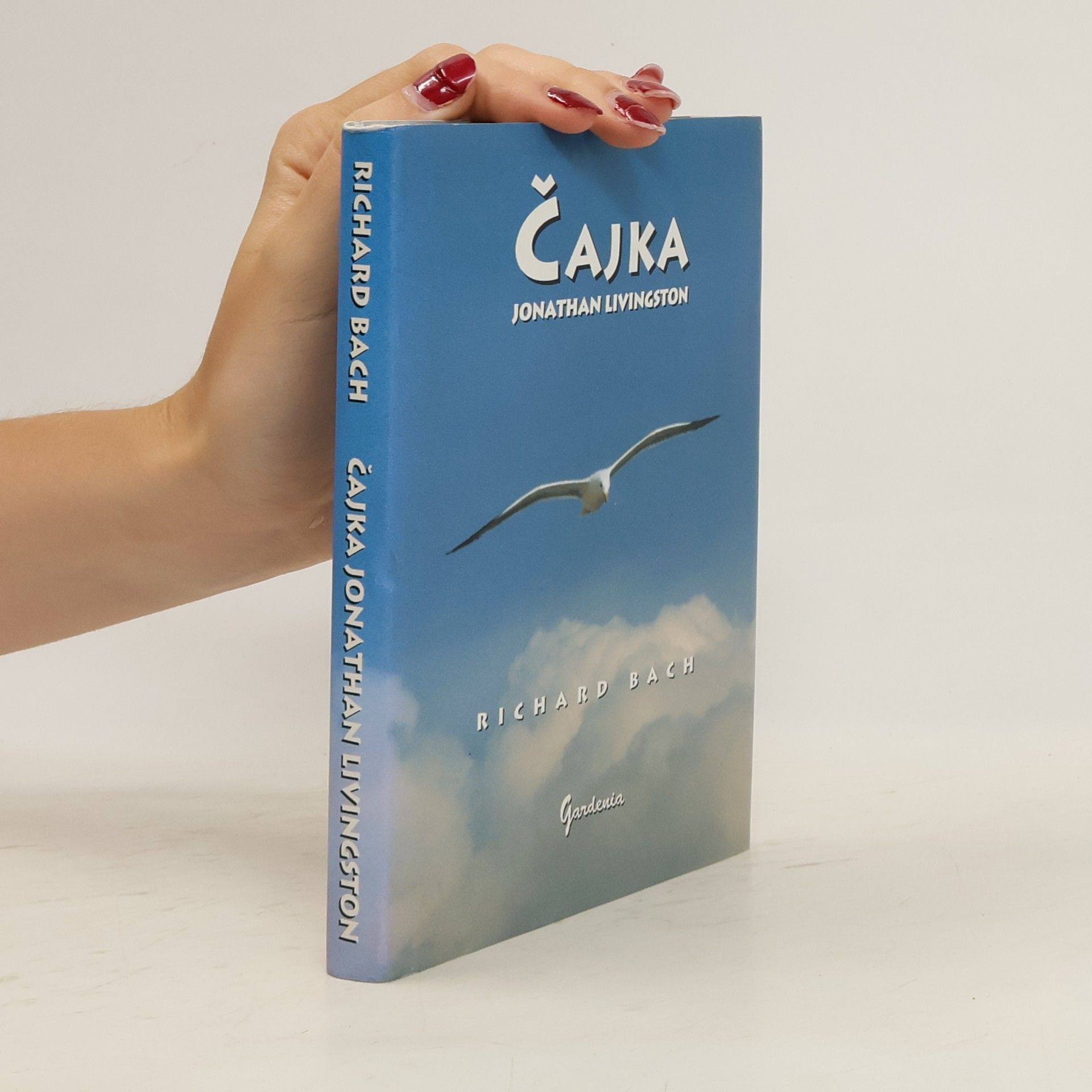 Richard Bach Čajka Jonathan Livingston