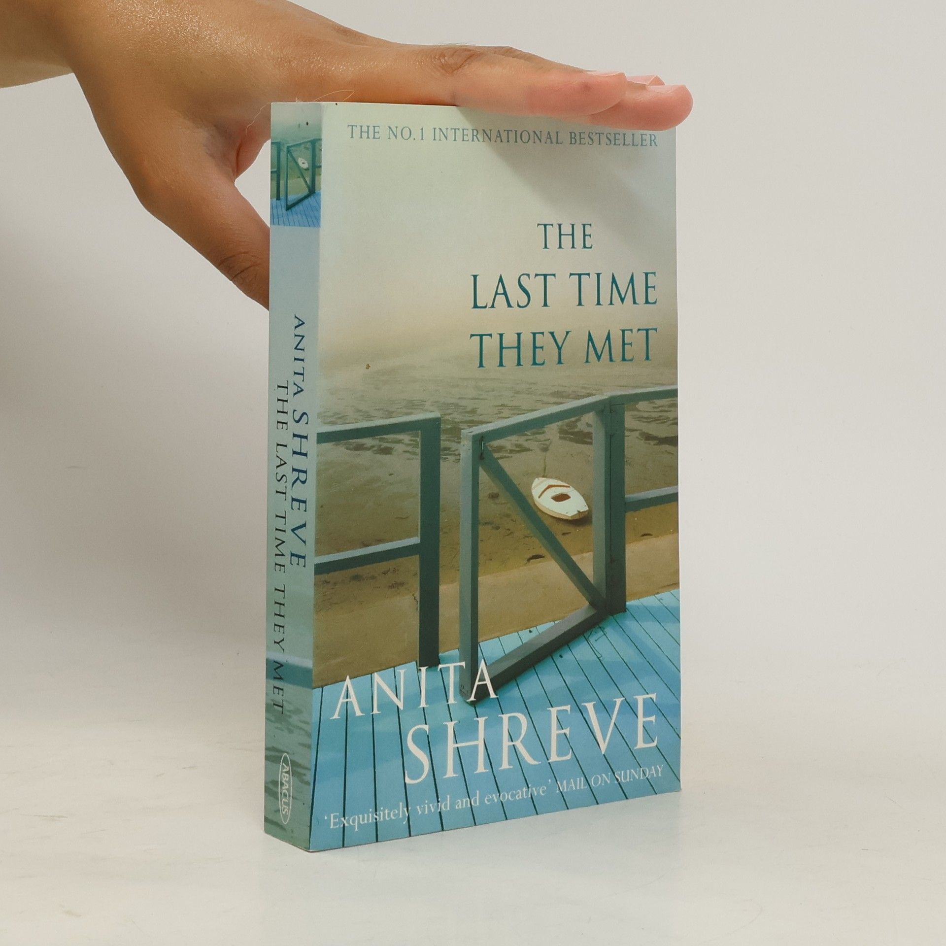 Anita Shreve The Last Time They Met