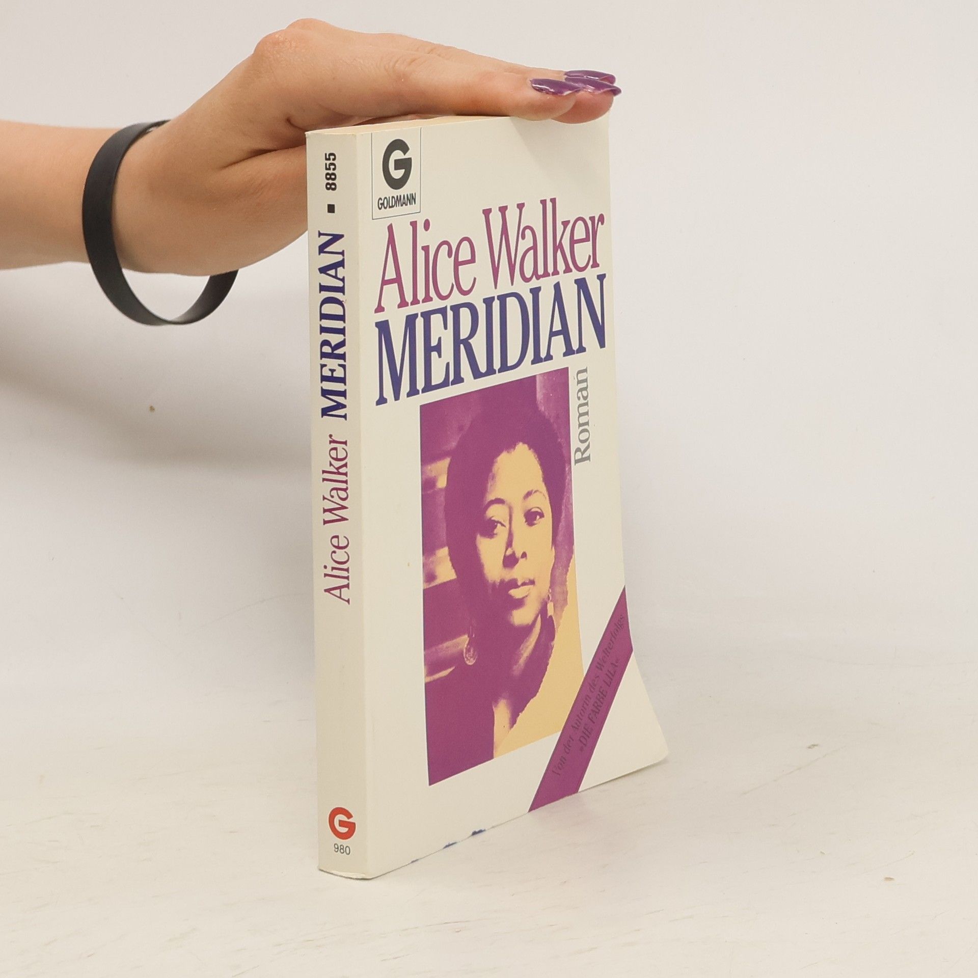 Alice Walker Meridian