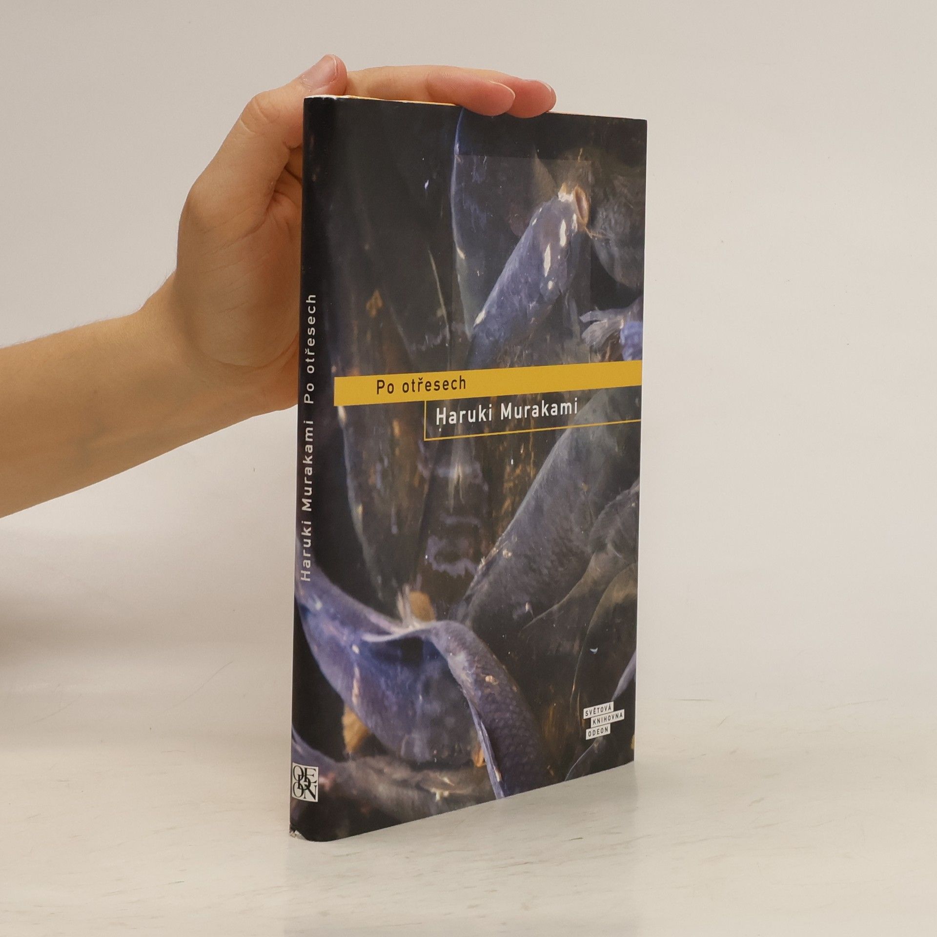 Haruki Murakami Po otřesech