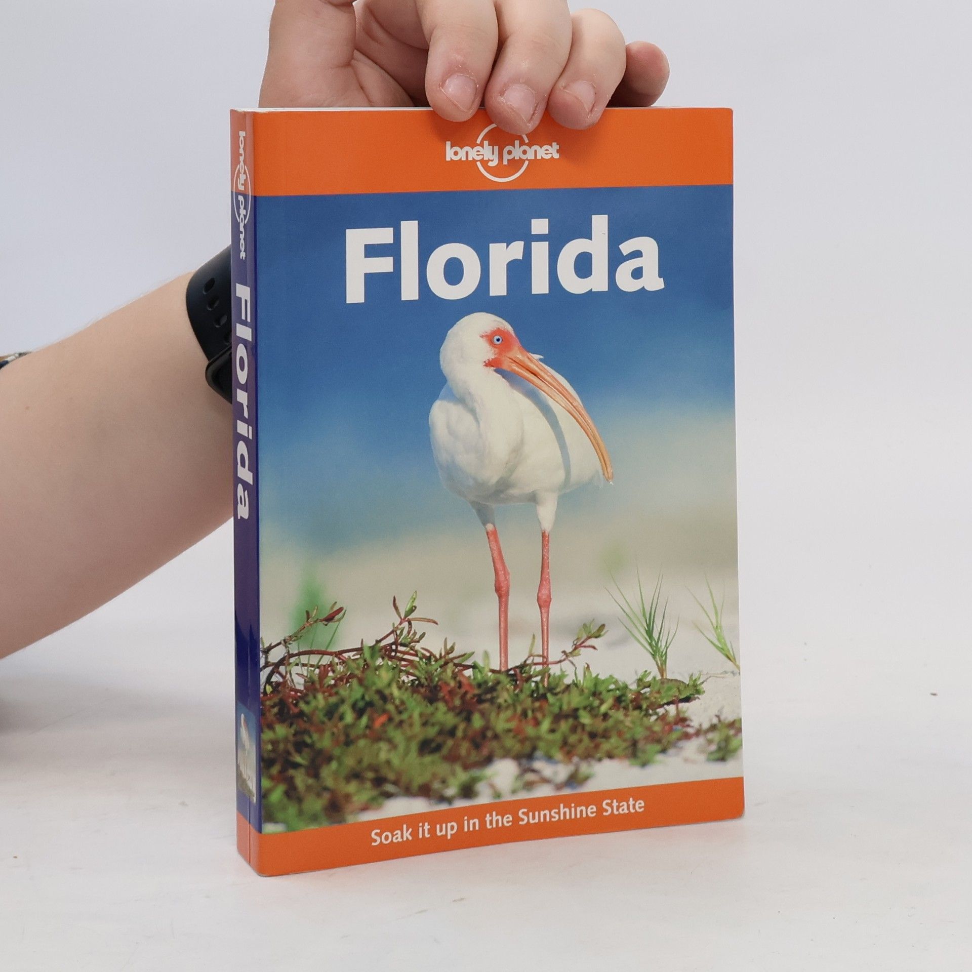 Kimberly Grant Florida
