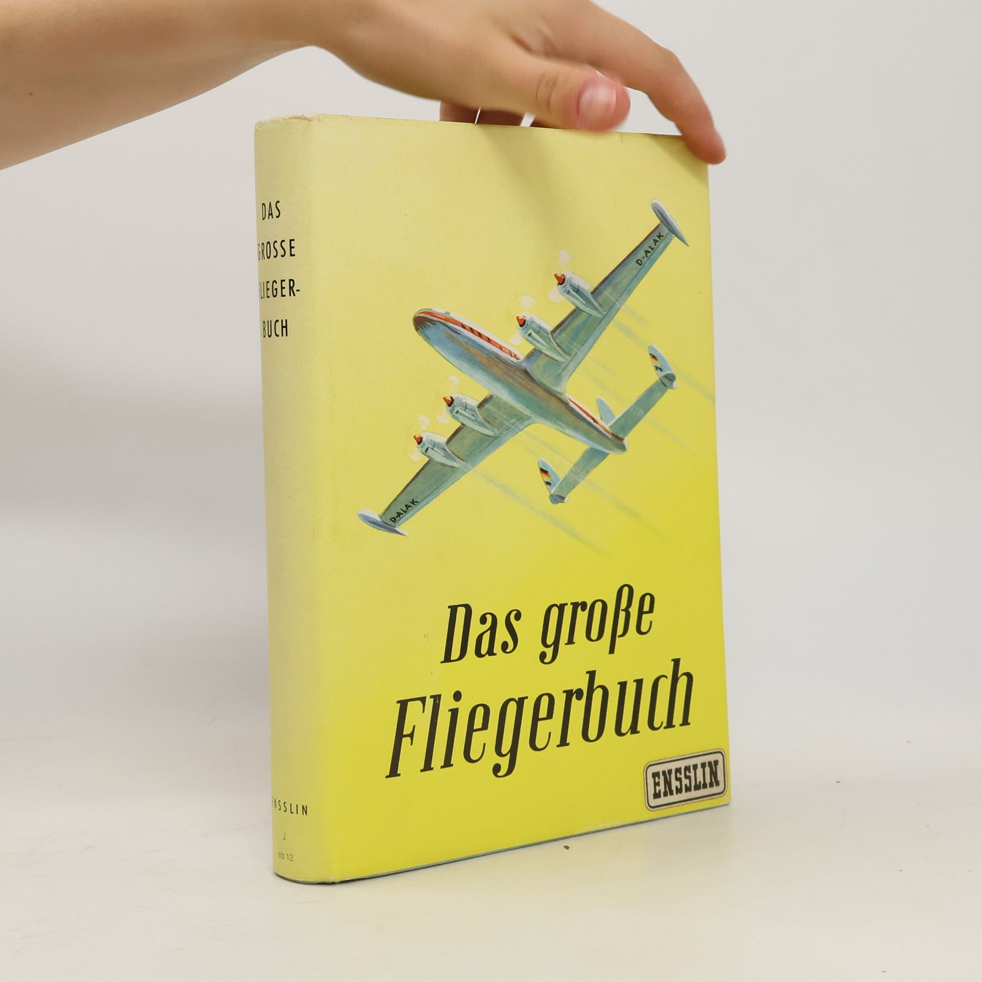 kolektiv Das Grosse Fliegerbuch