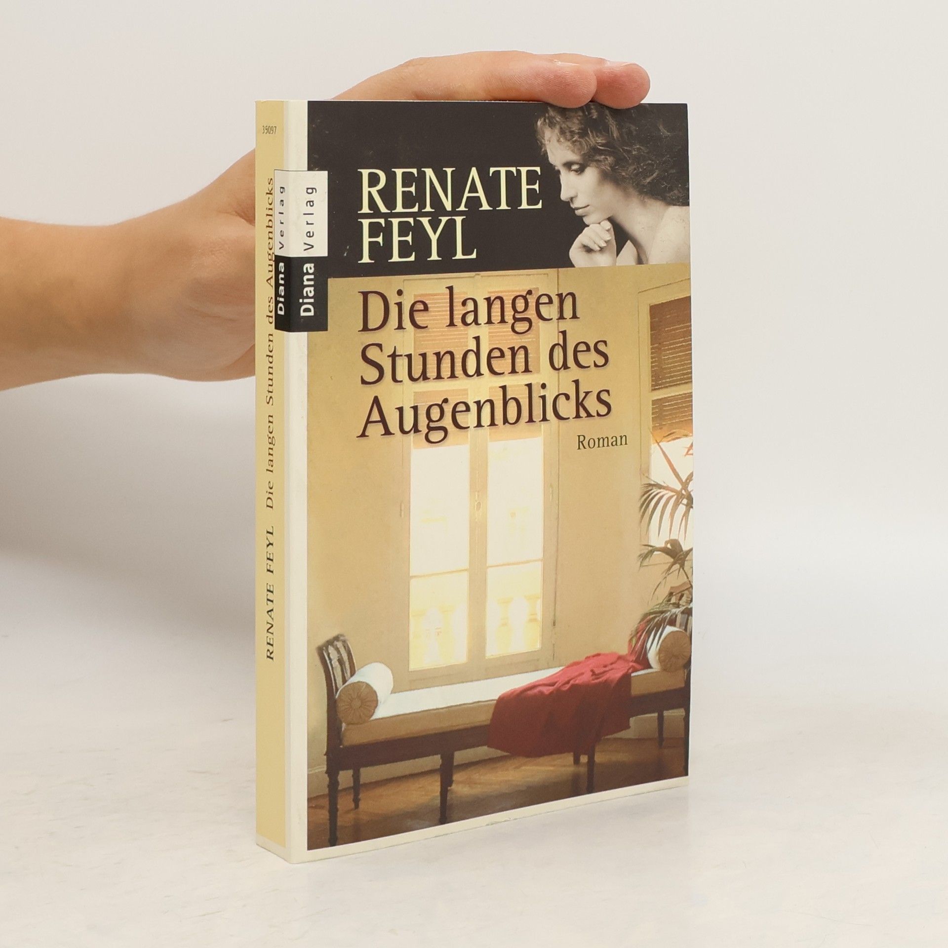 Renate Feyl Die langen Stunden des Augenblicks