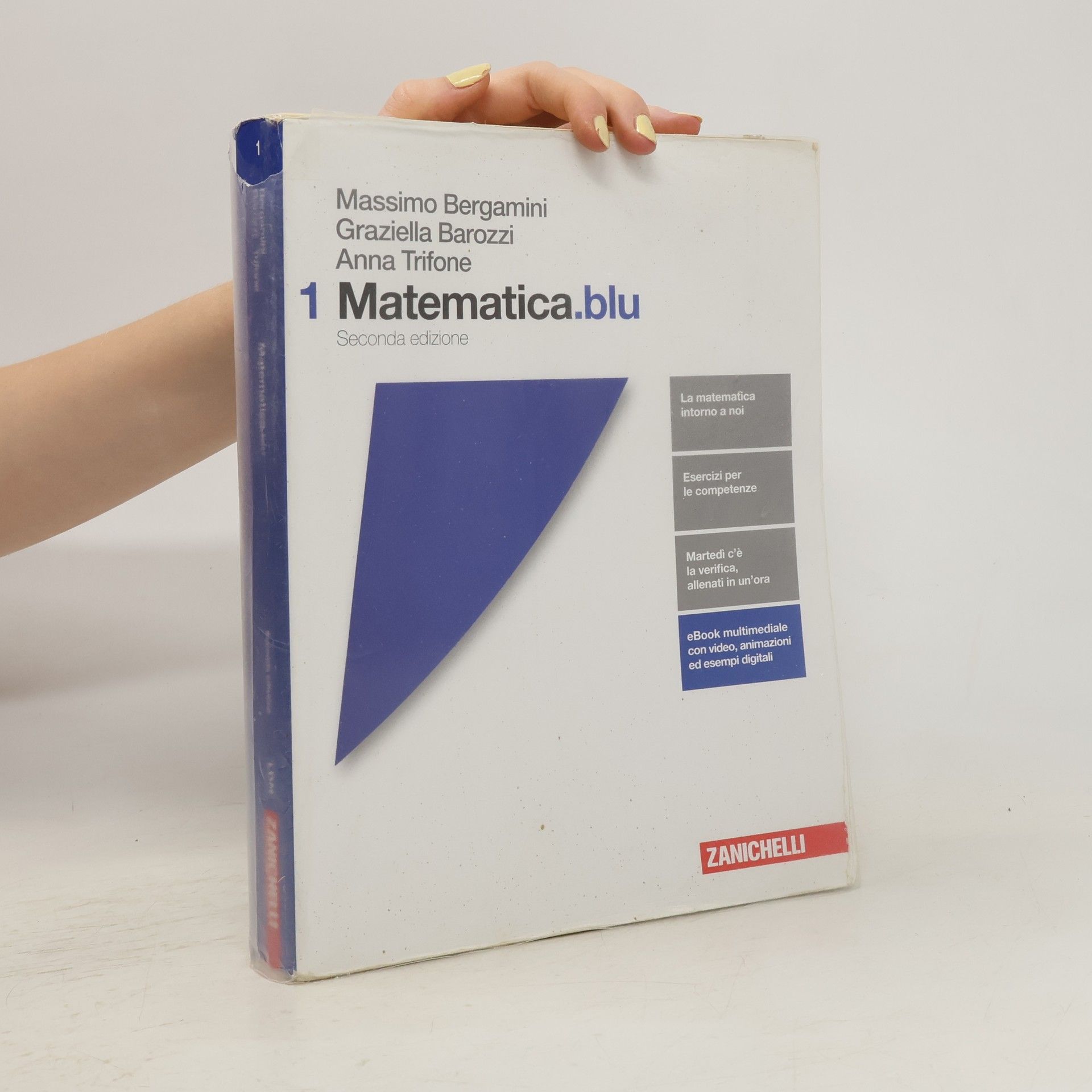 Massimo Bergamini 1 Matematica.blu