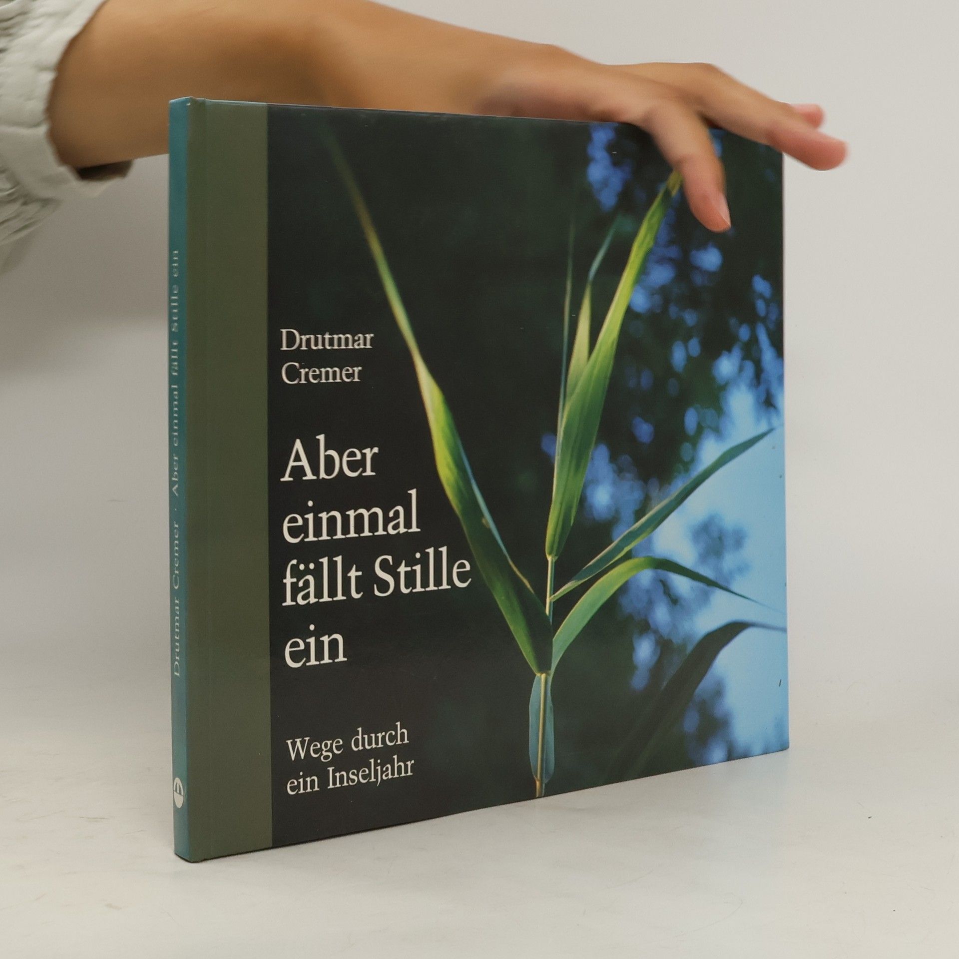 Drutmar Cremer Aber einmal fällt Stille ein