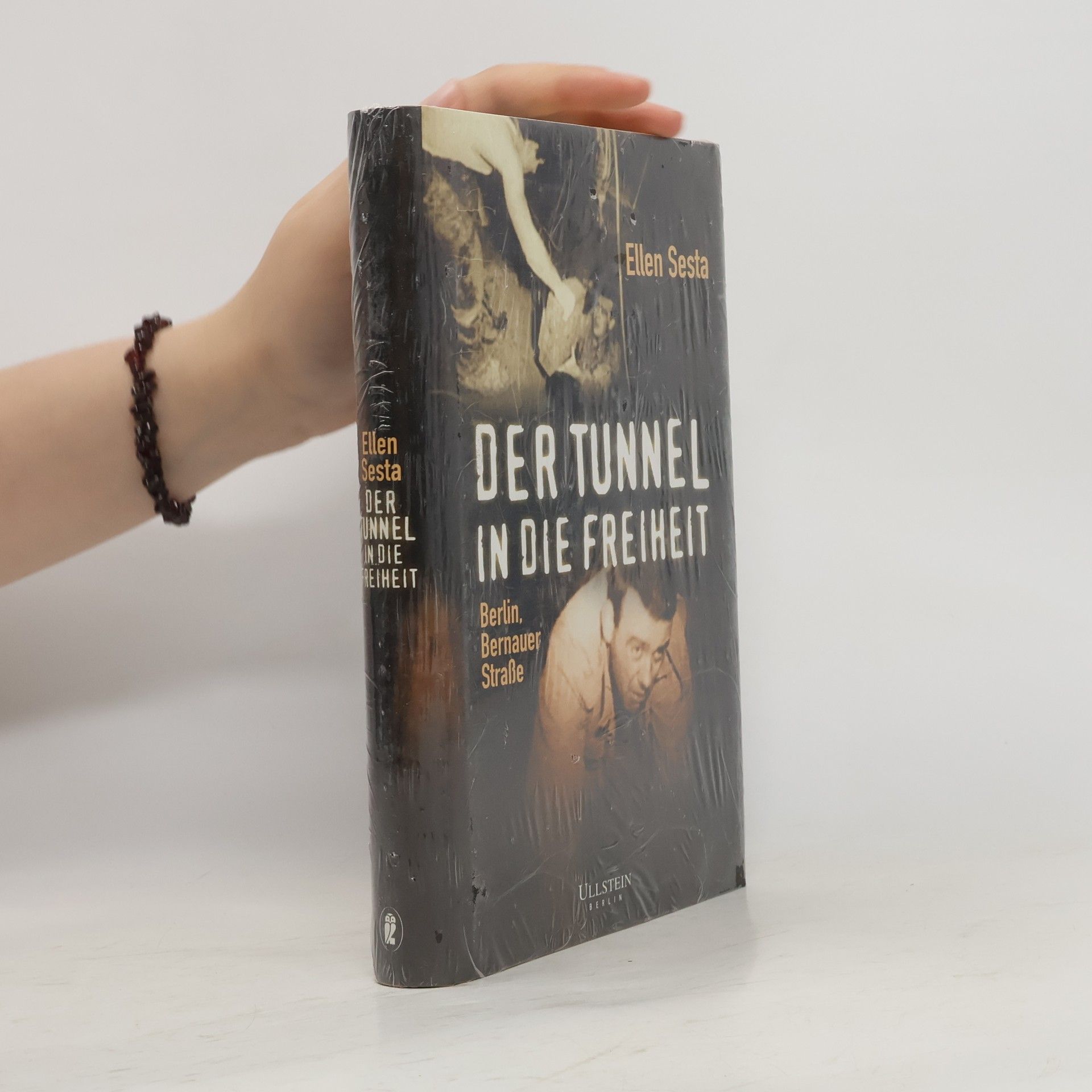 Ellen Sesta Der Tunnel in die Freiheit