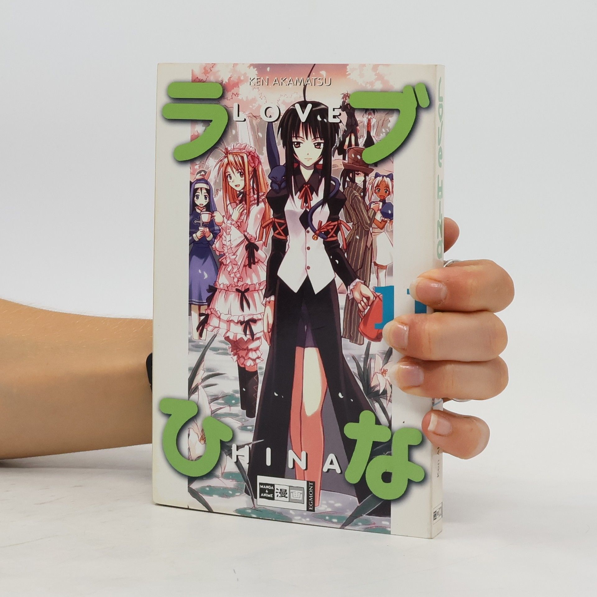 Collectif d'auteurs Love Hina