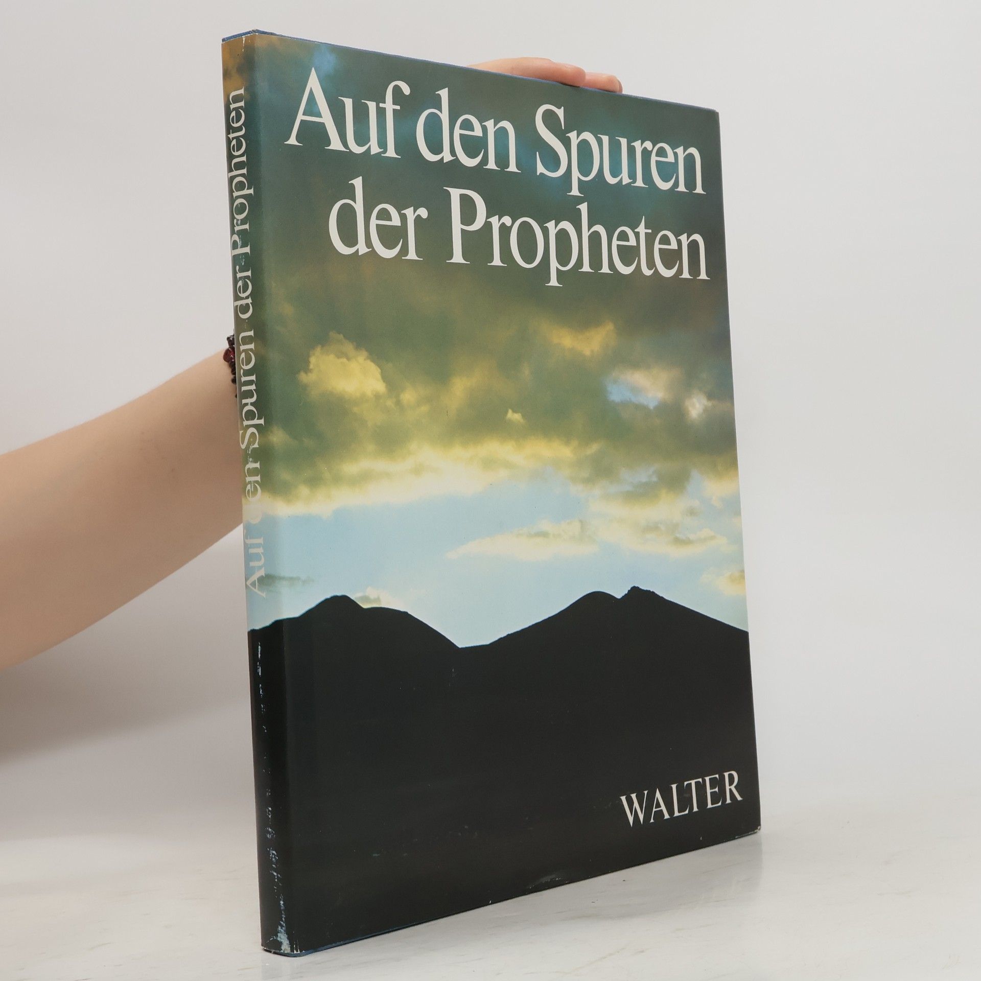 Moshe Pearlman Auf den Spuren der Propheten