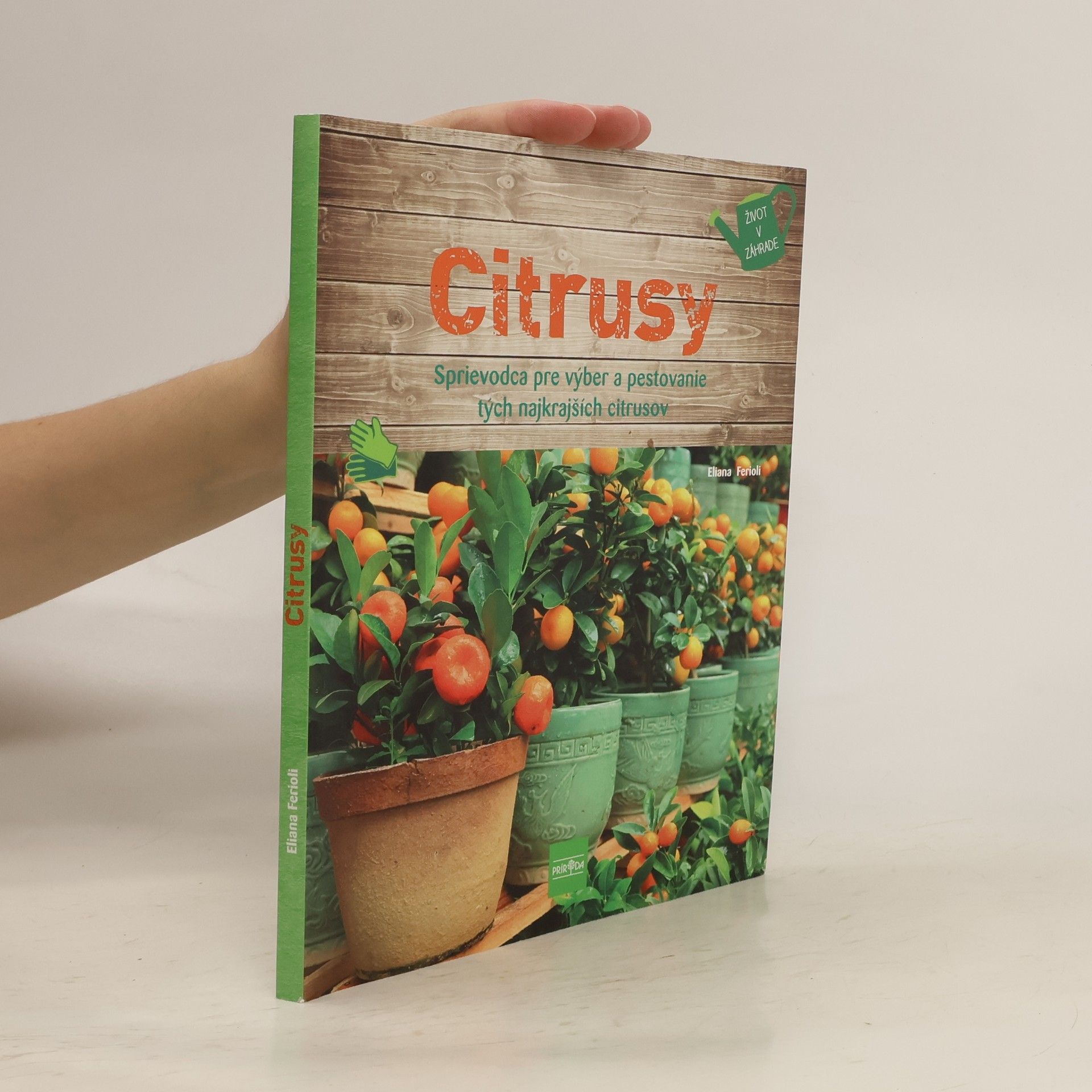 Eliana Ferioli Citrusy
