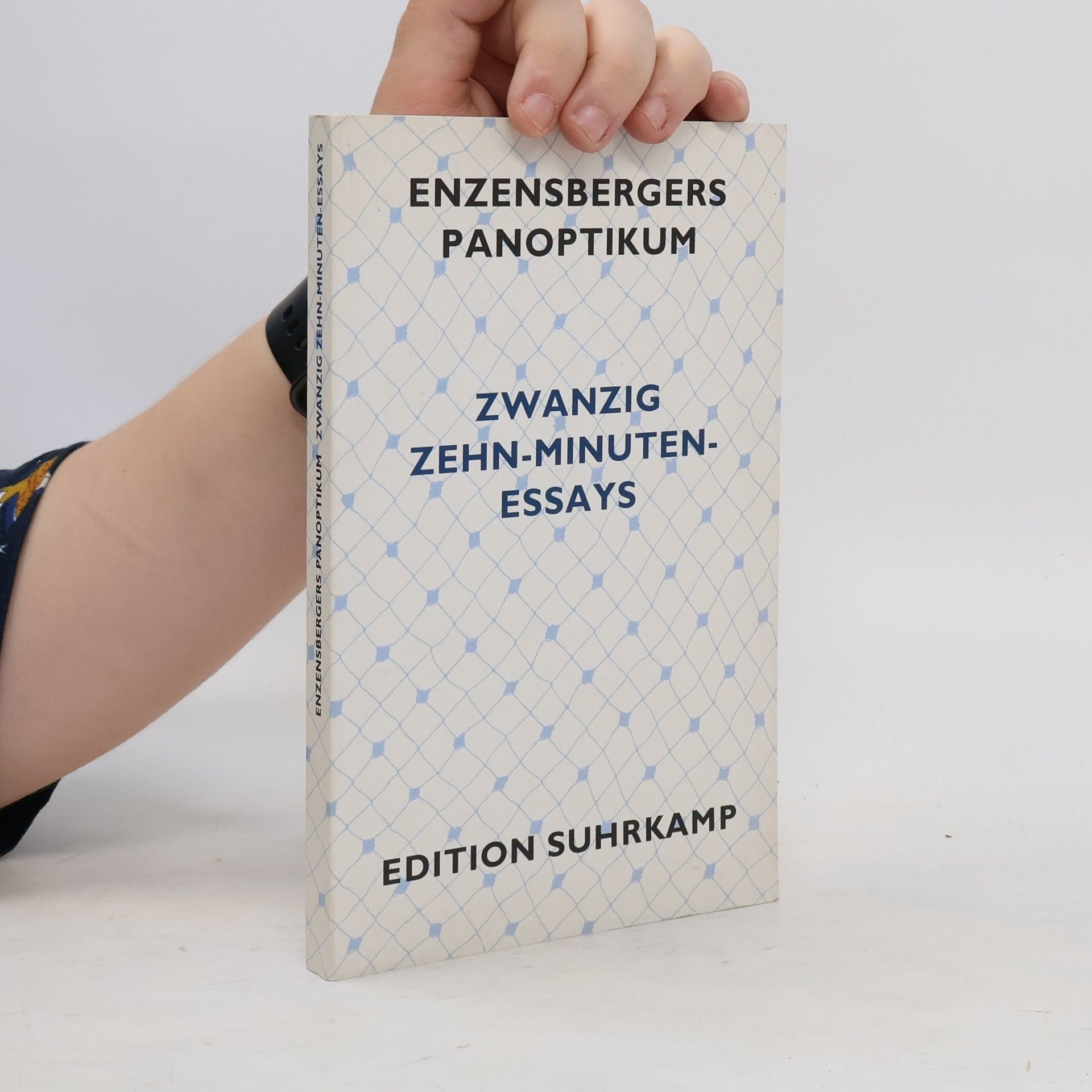 Hans Magnus Enzensberger Enzensbergers Panoptikum: zwanzig Zehn-Minuten-Essays