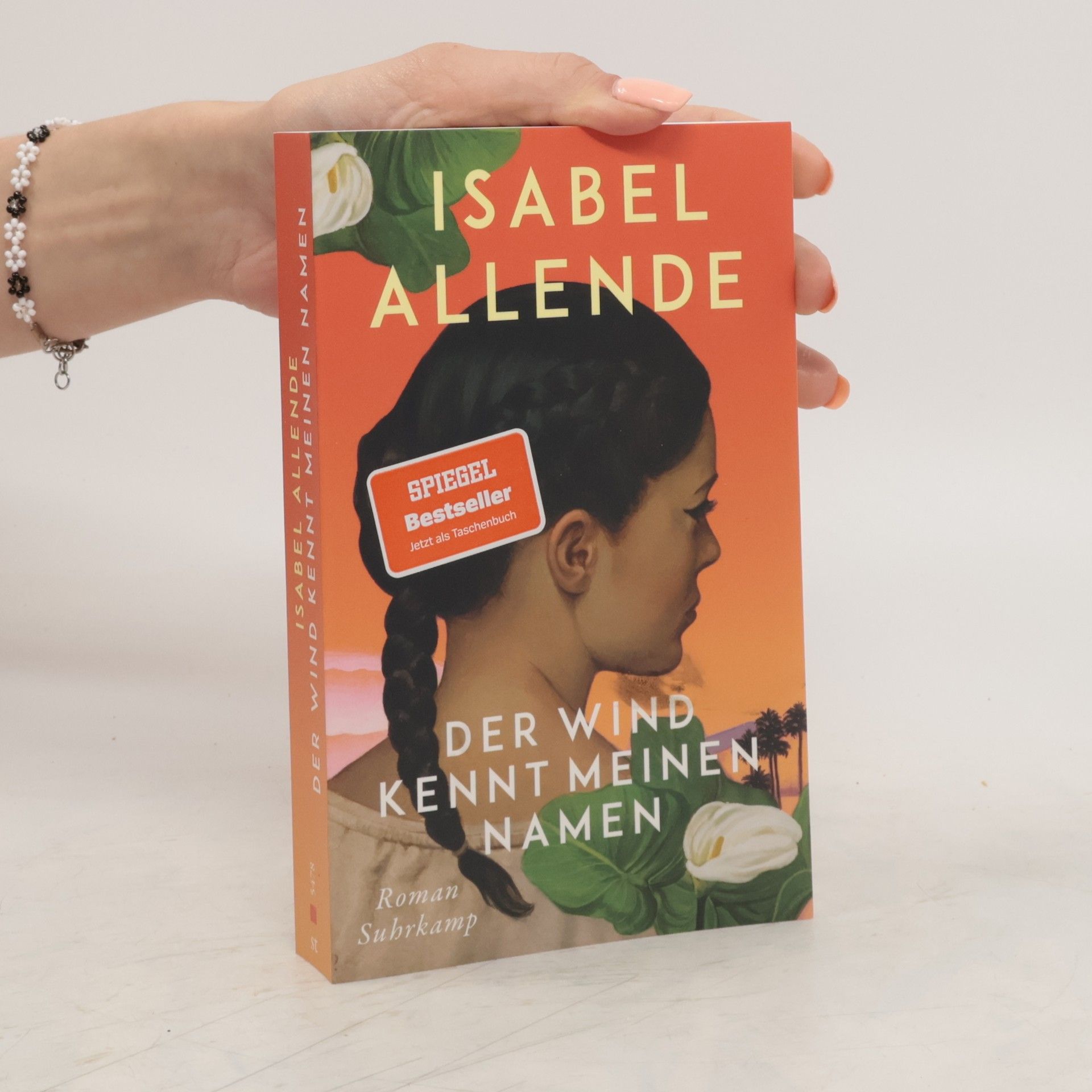 Isabel Allende Llona Der Wind kennt meinen Namen