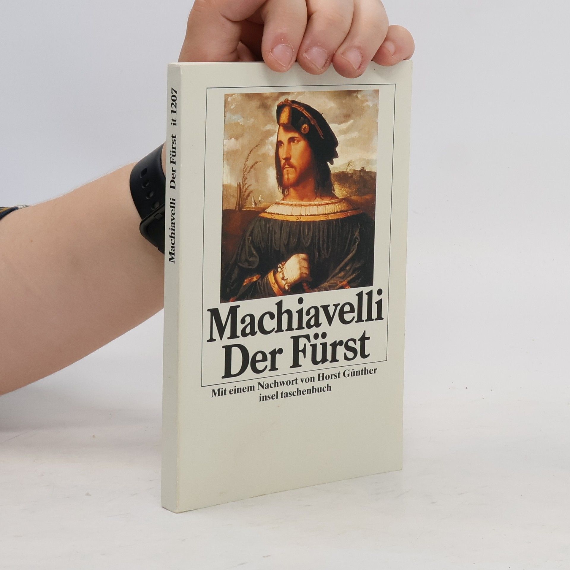 Niccolò Machiavelli Der Fürst