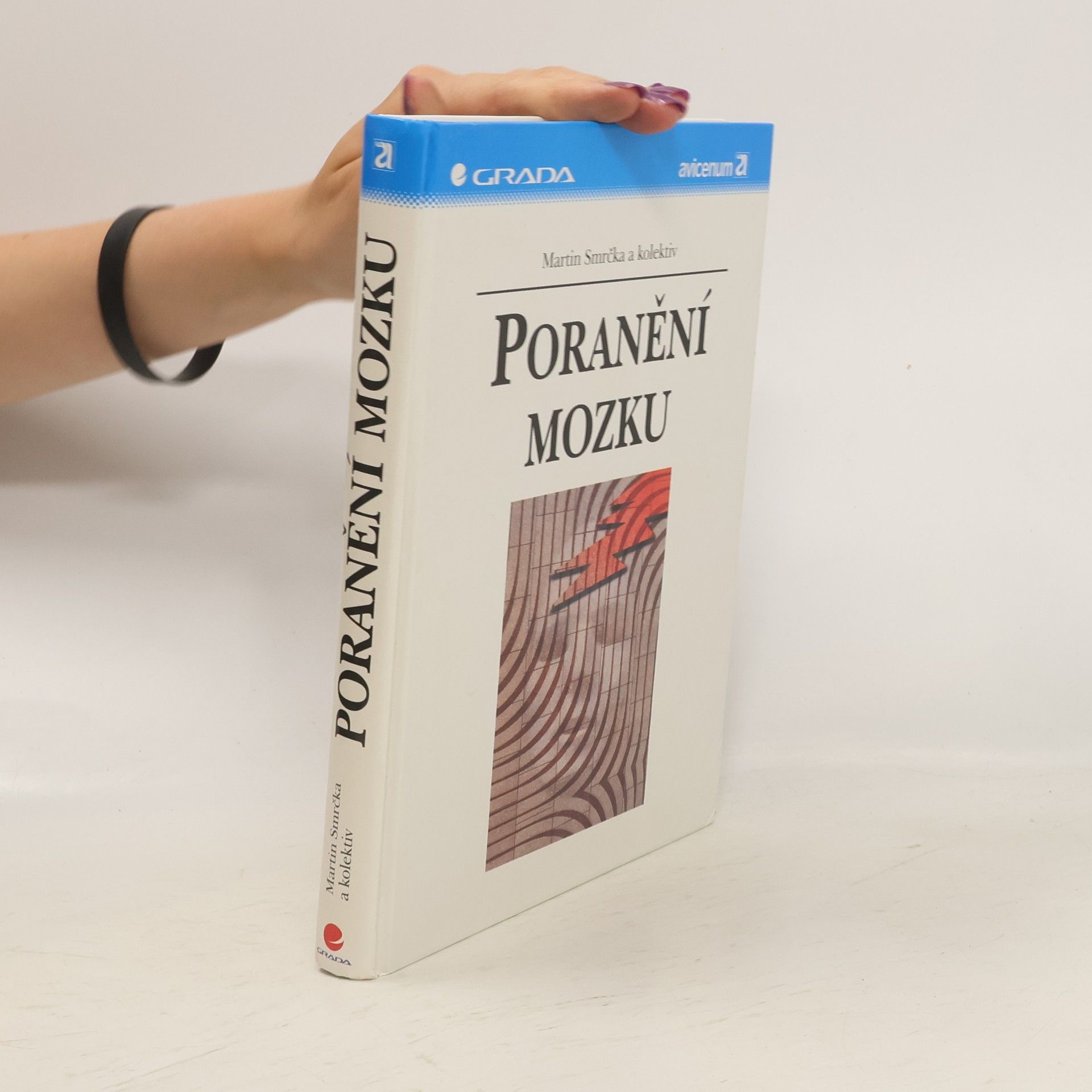 Martin Smrčka Poranění mozku