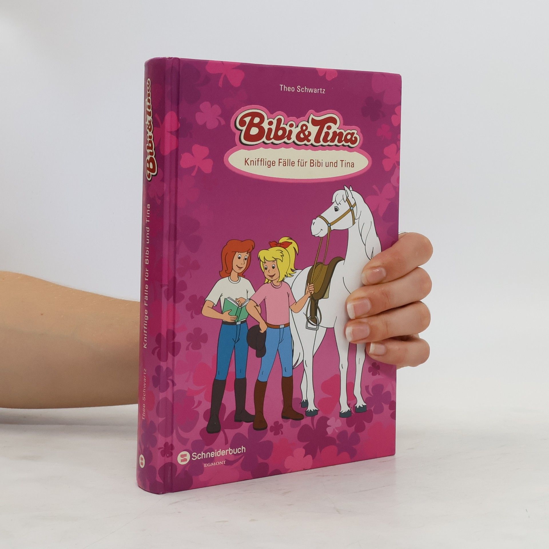 Theo Schwartz Bibi & Tina - Knifflige Fälle für Bibi und Tina