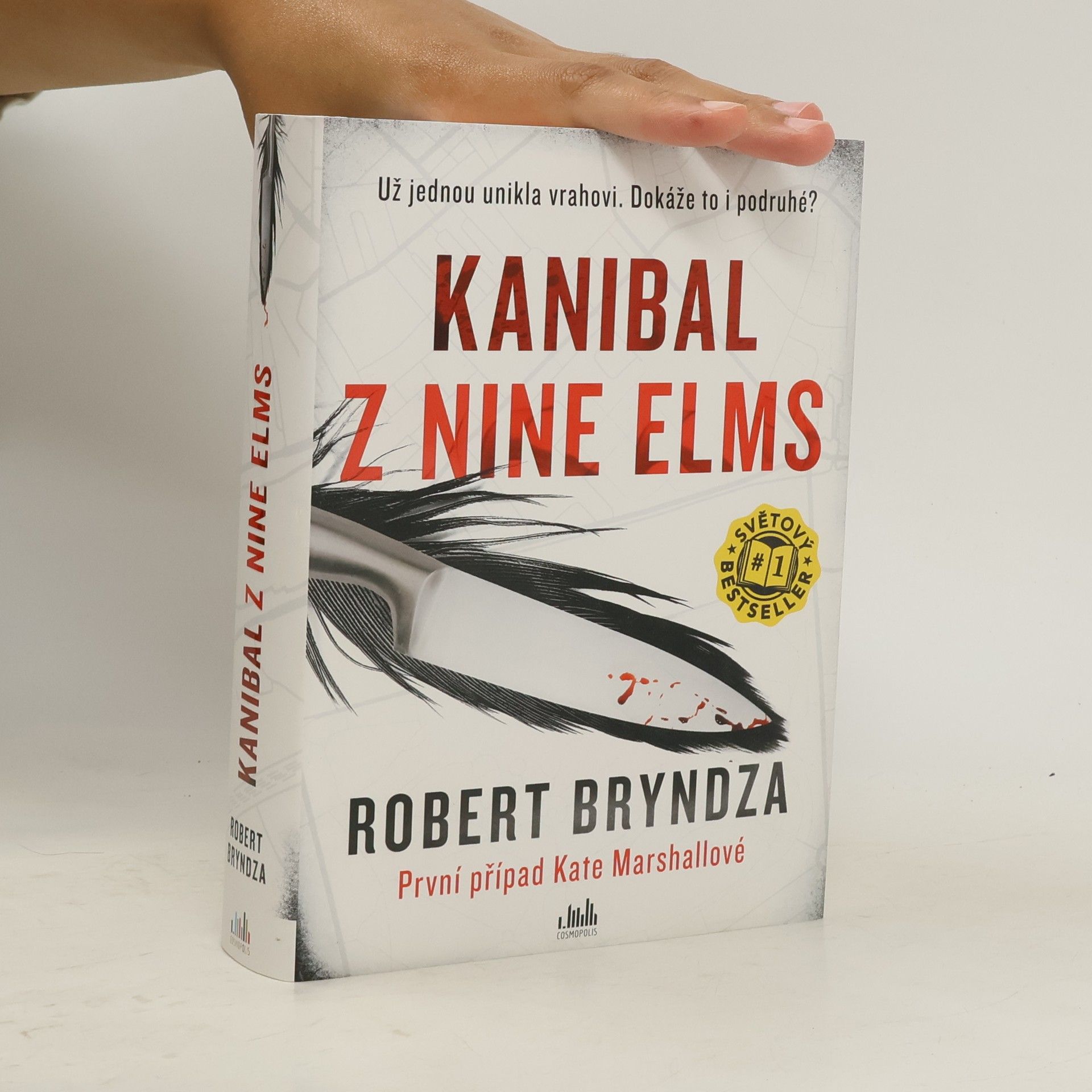 Robert Bryndza Kanibal z Nine Elms