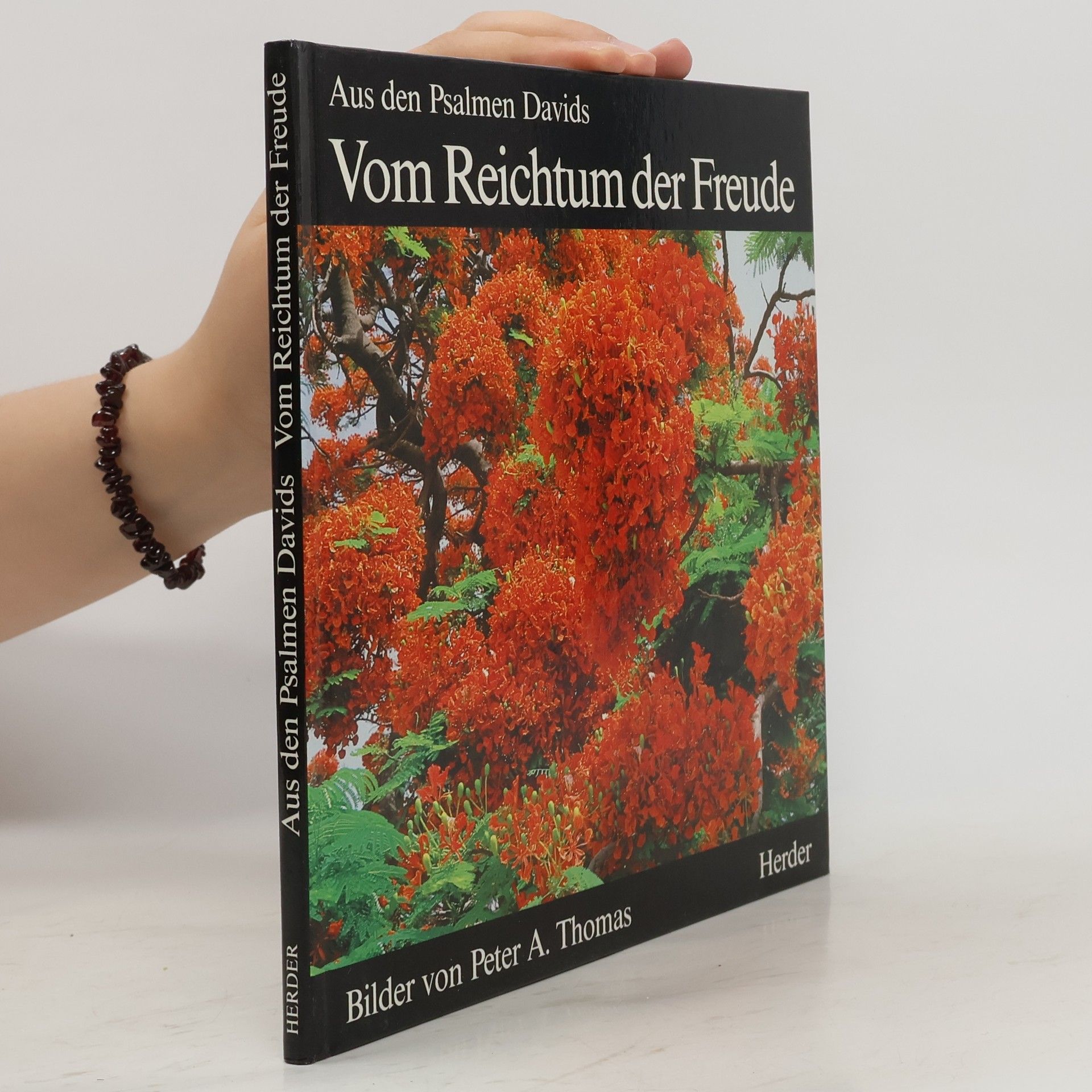 Peter A. Thomas Vom Reichtum der Freude