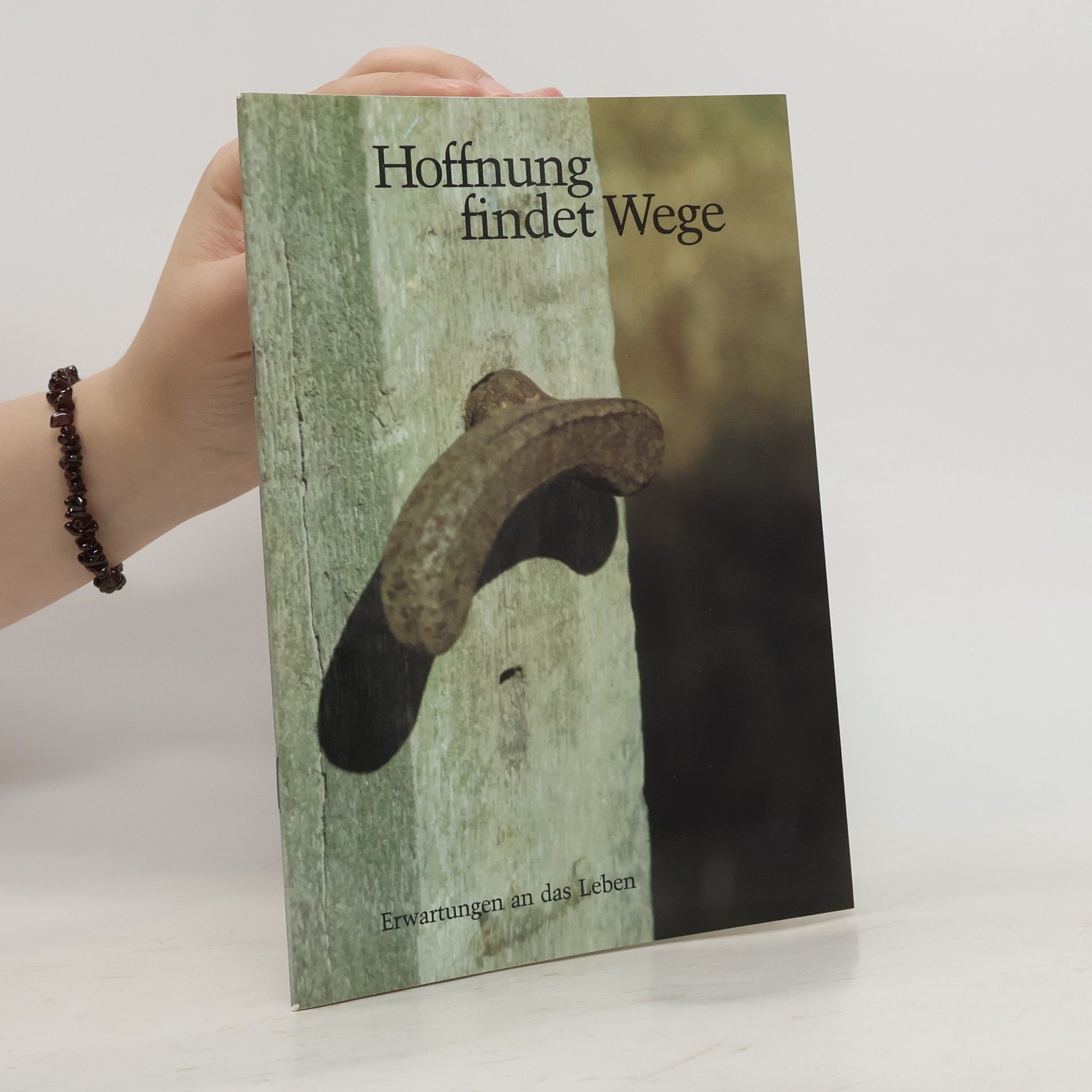 Peter Klever Hoffnung findet Wege