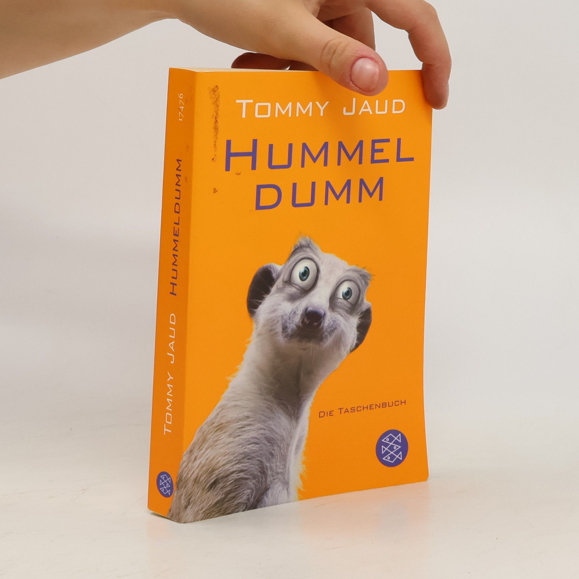 Tommy Jaud Hummeldumm