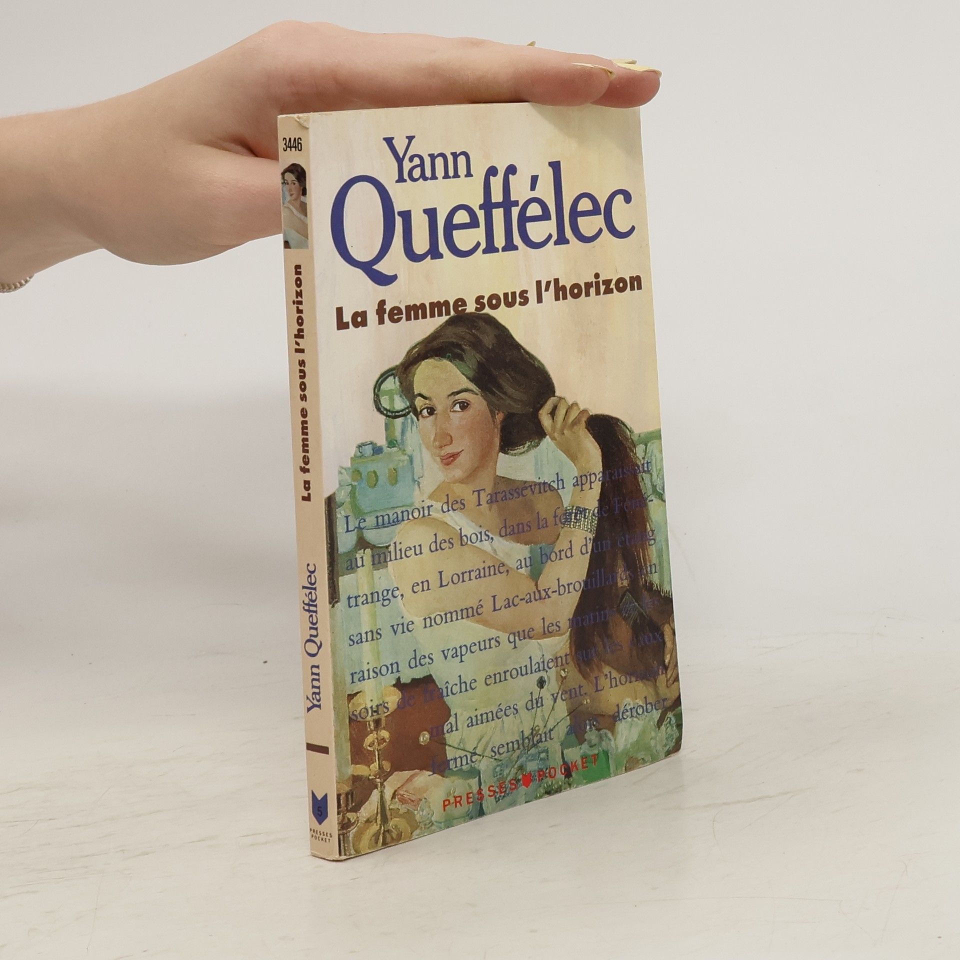 Yann Queffélec La femme sous l'horizon