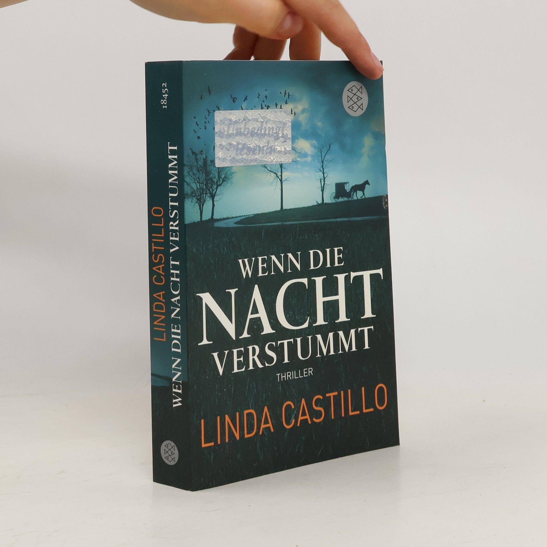 Linda Castillo Wenn die Nacht verstummt