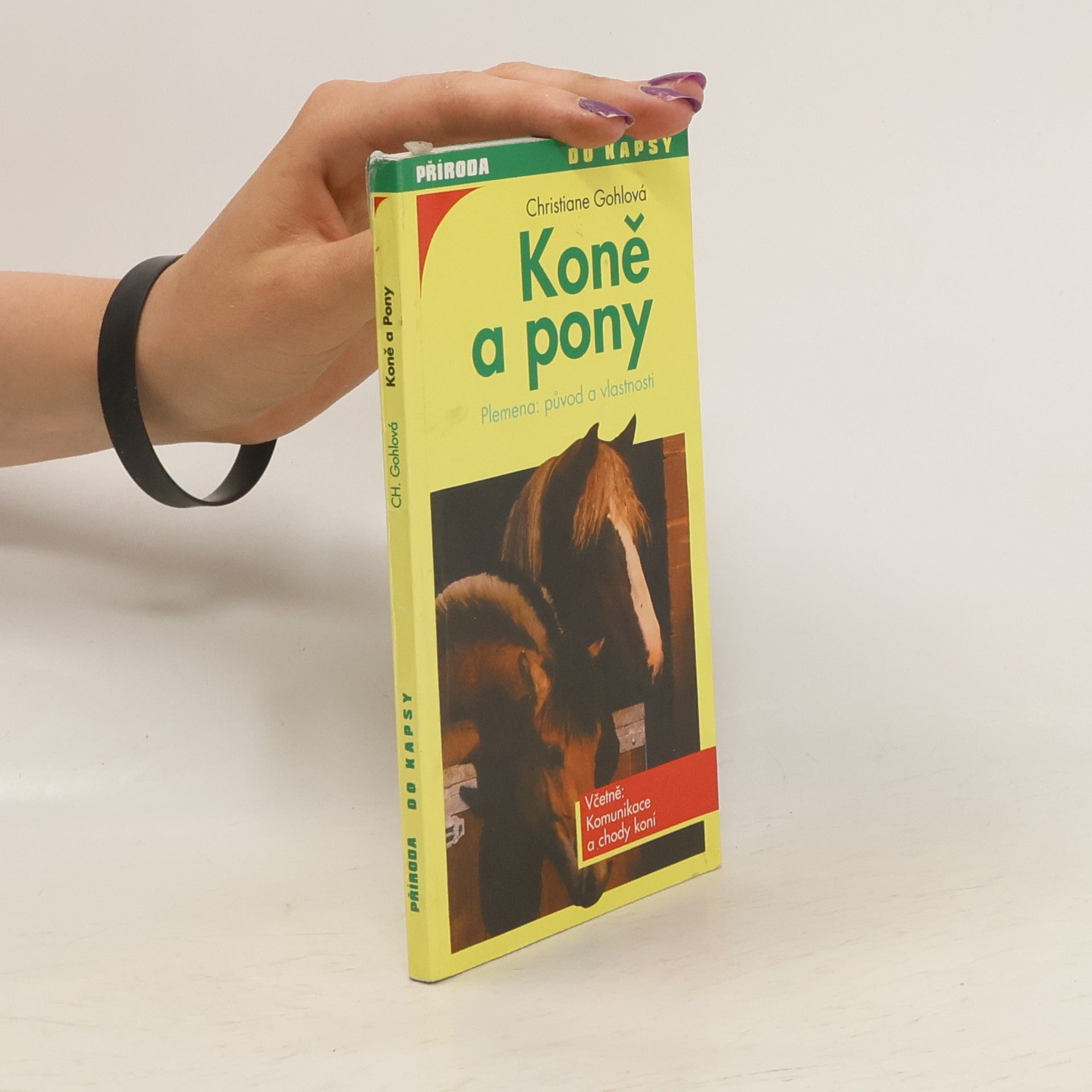 Christiane Gohl Koně a pony