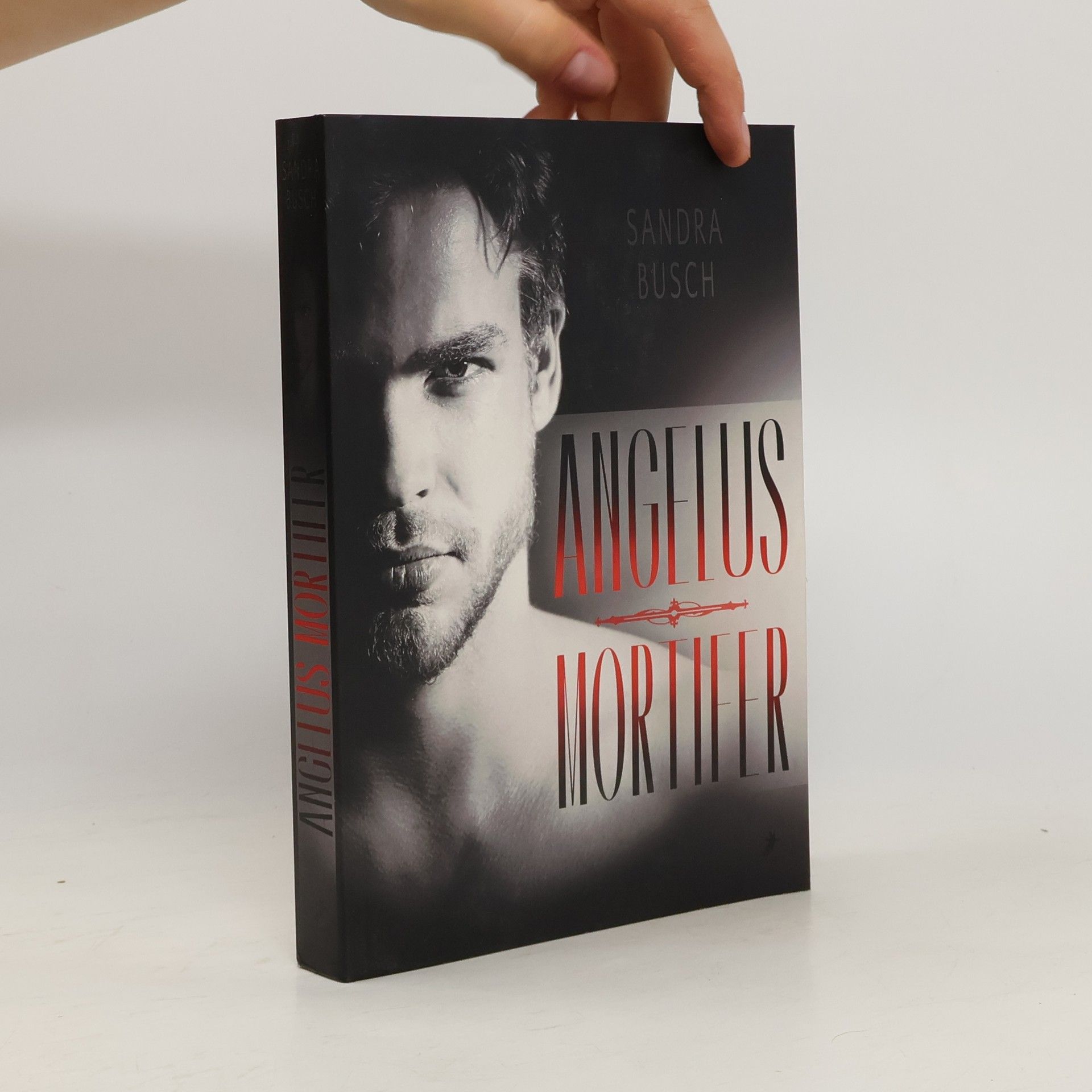 Sandra Busch-Hellwig Angelus Mortifer