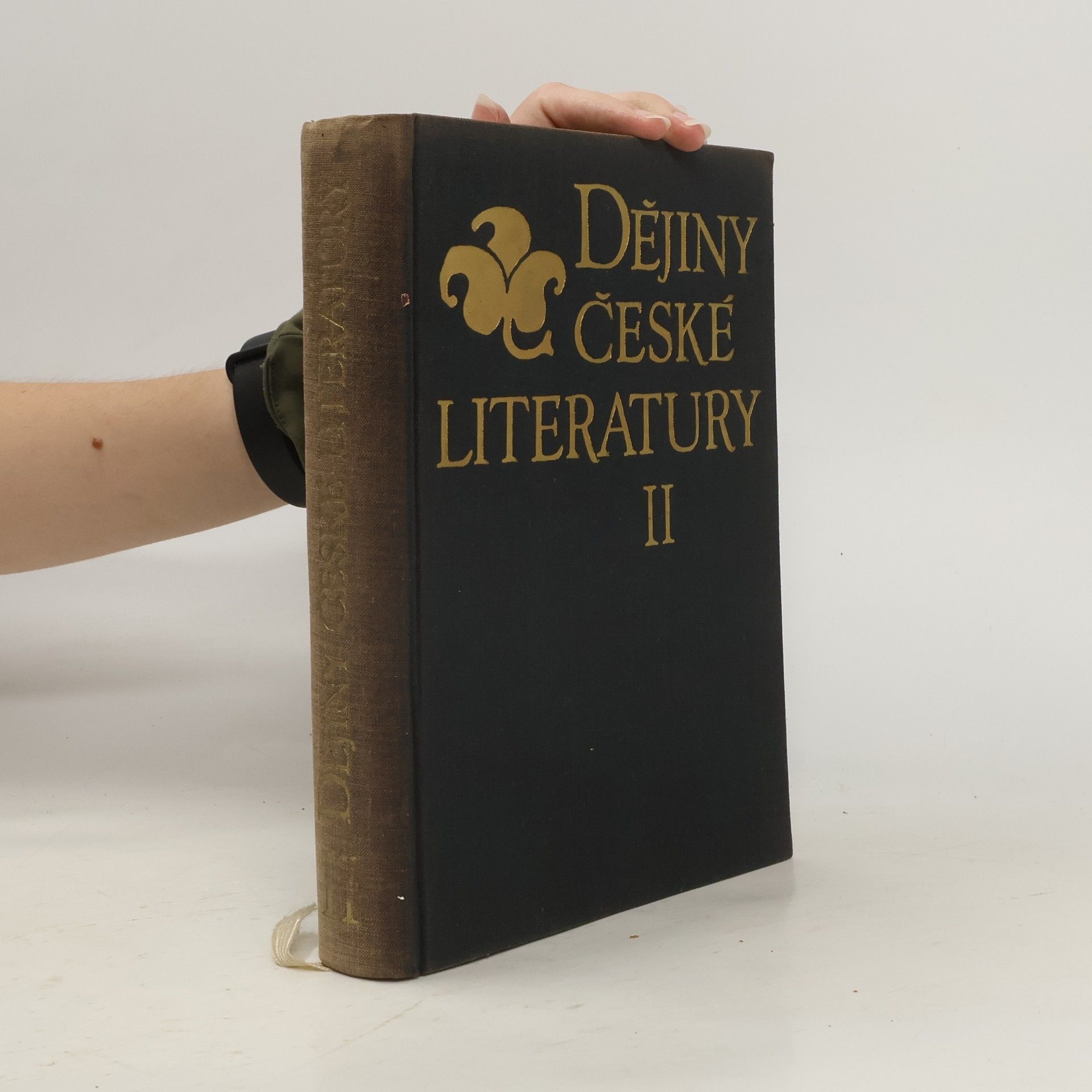 Karel Dvořák Dějiny české literatury. II, Literatura národního obrození
