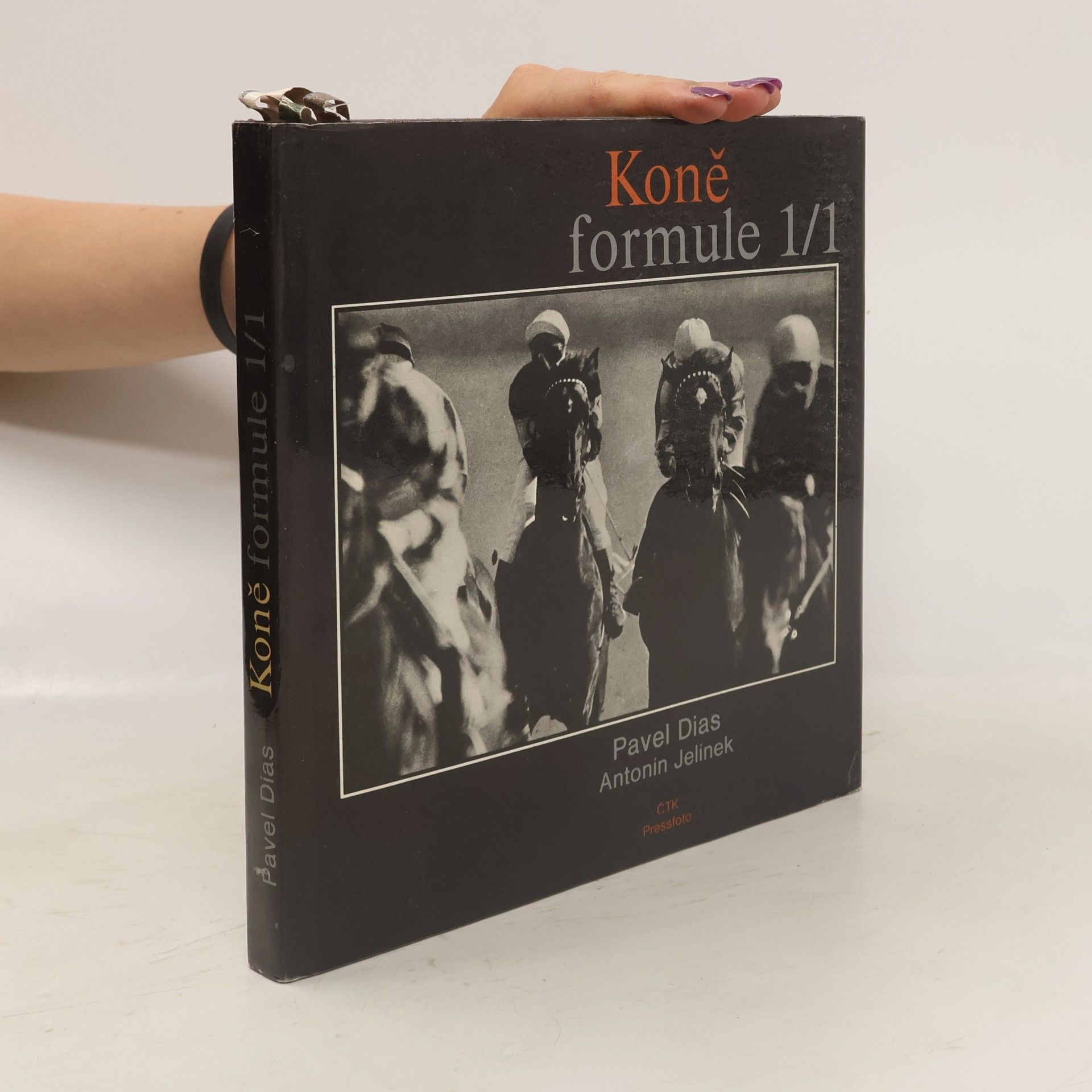 Pavel Dias Koně formule 1/1